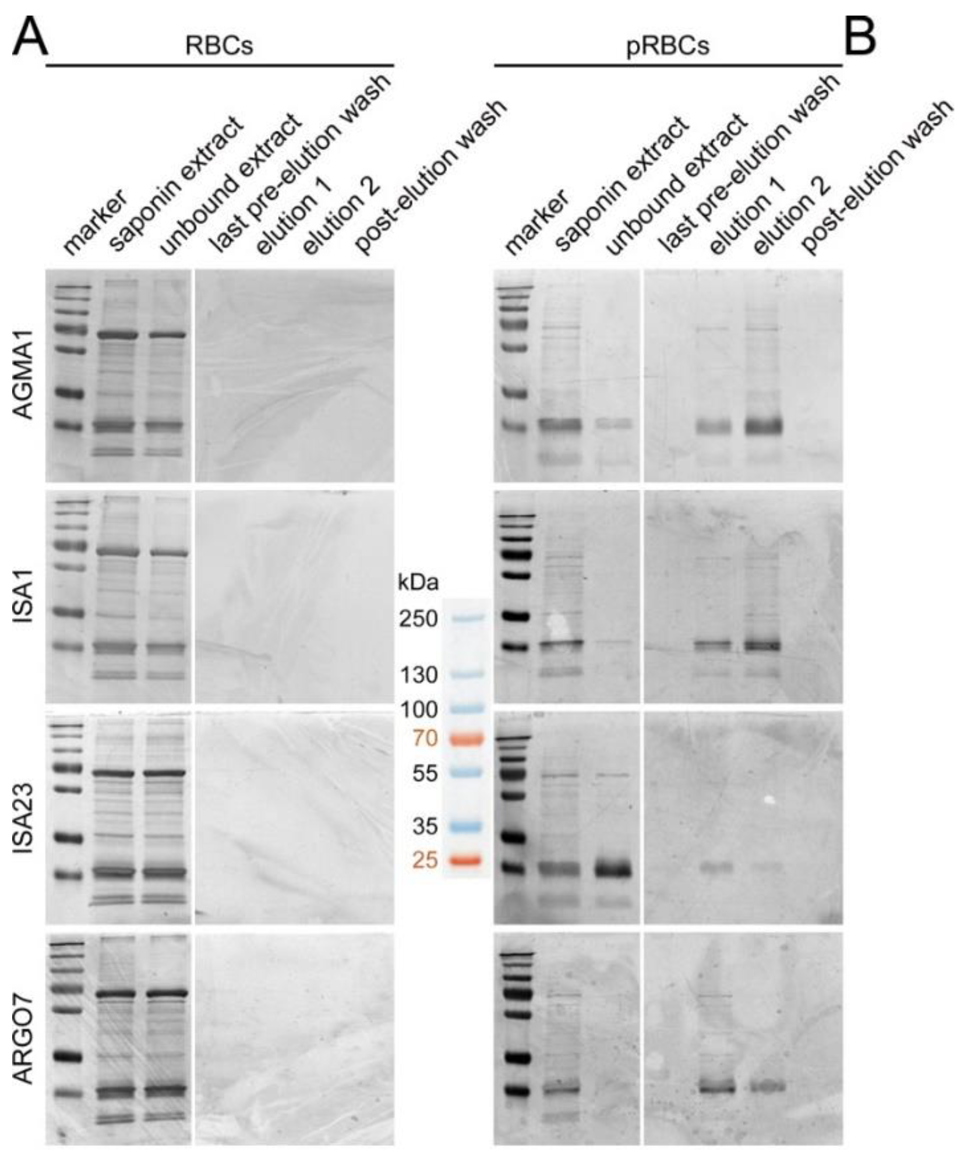 Pharmaceutics 10 00225 g004