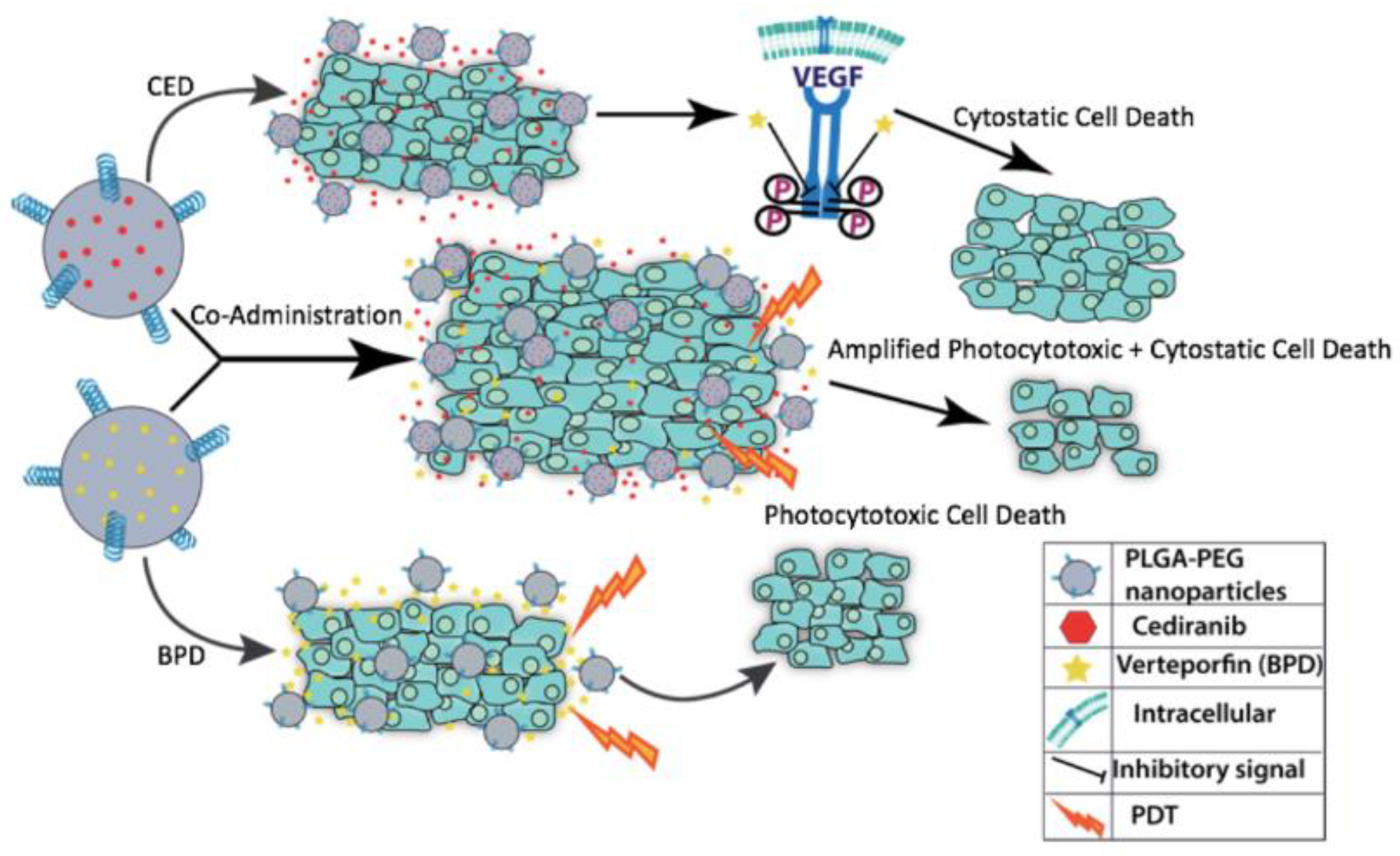 Pharmaceutics 10 00226 g001