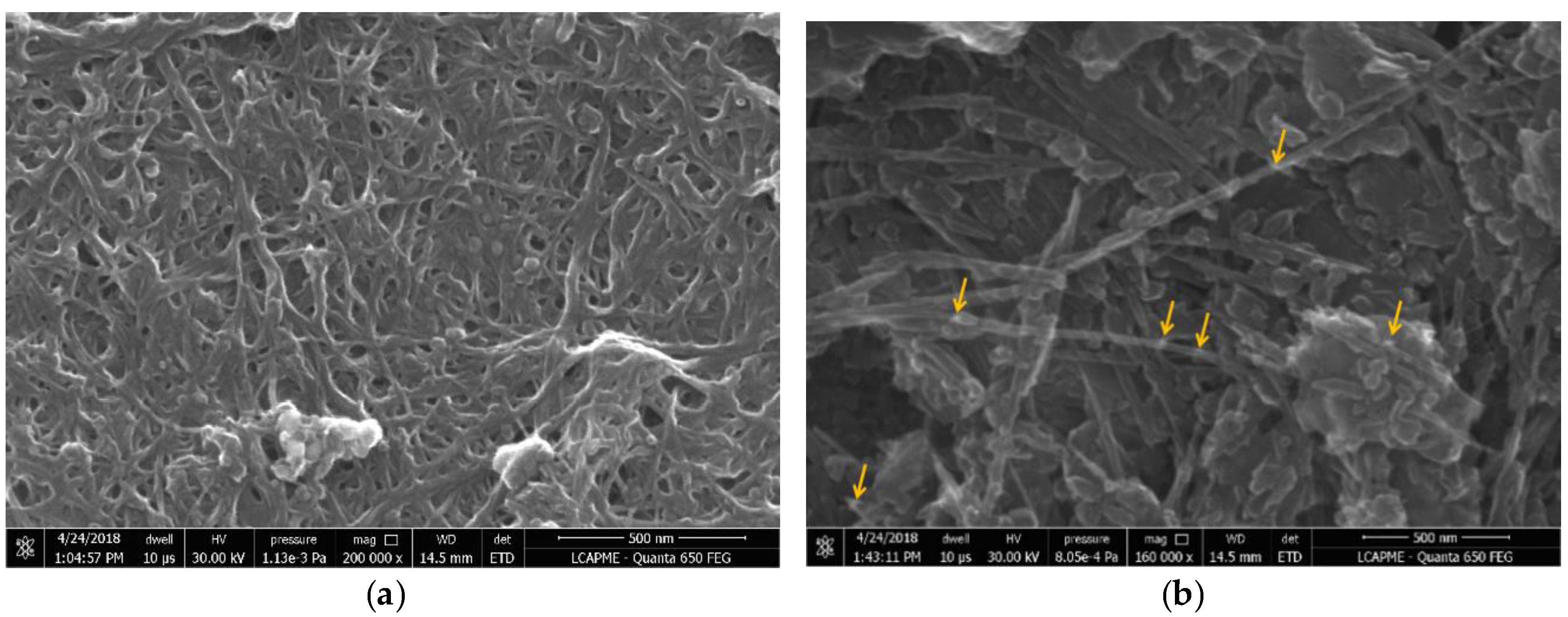Pharmaceutics 10 00228 g002 Pharmaceutics 10 00228 g002