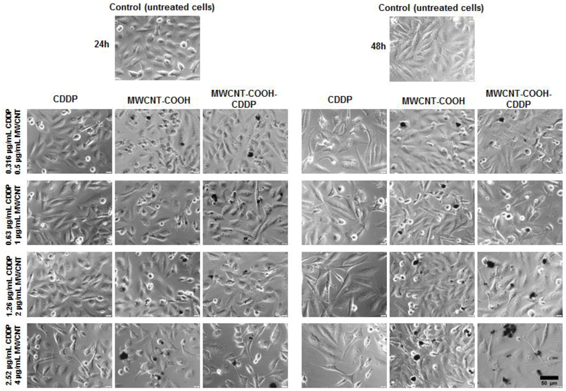 Pharmaceutics 10 00228 g007 Pharmaceutics 10 00228 g007