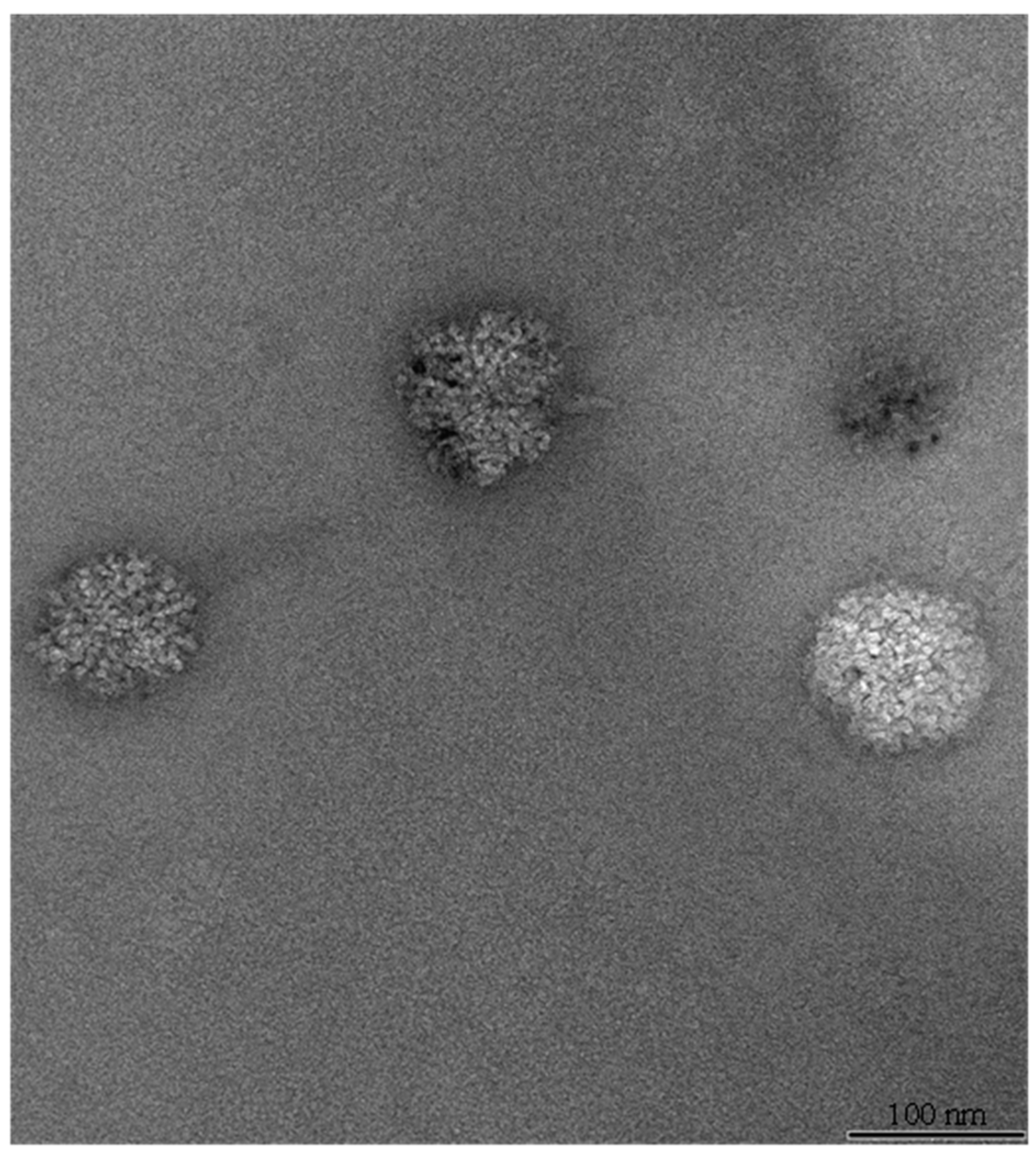 Pharmaceutics 10 00234 g018
