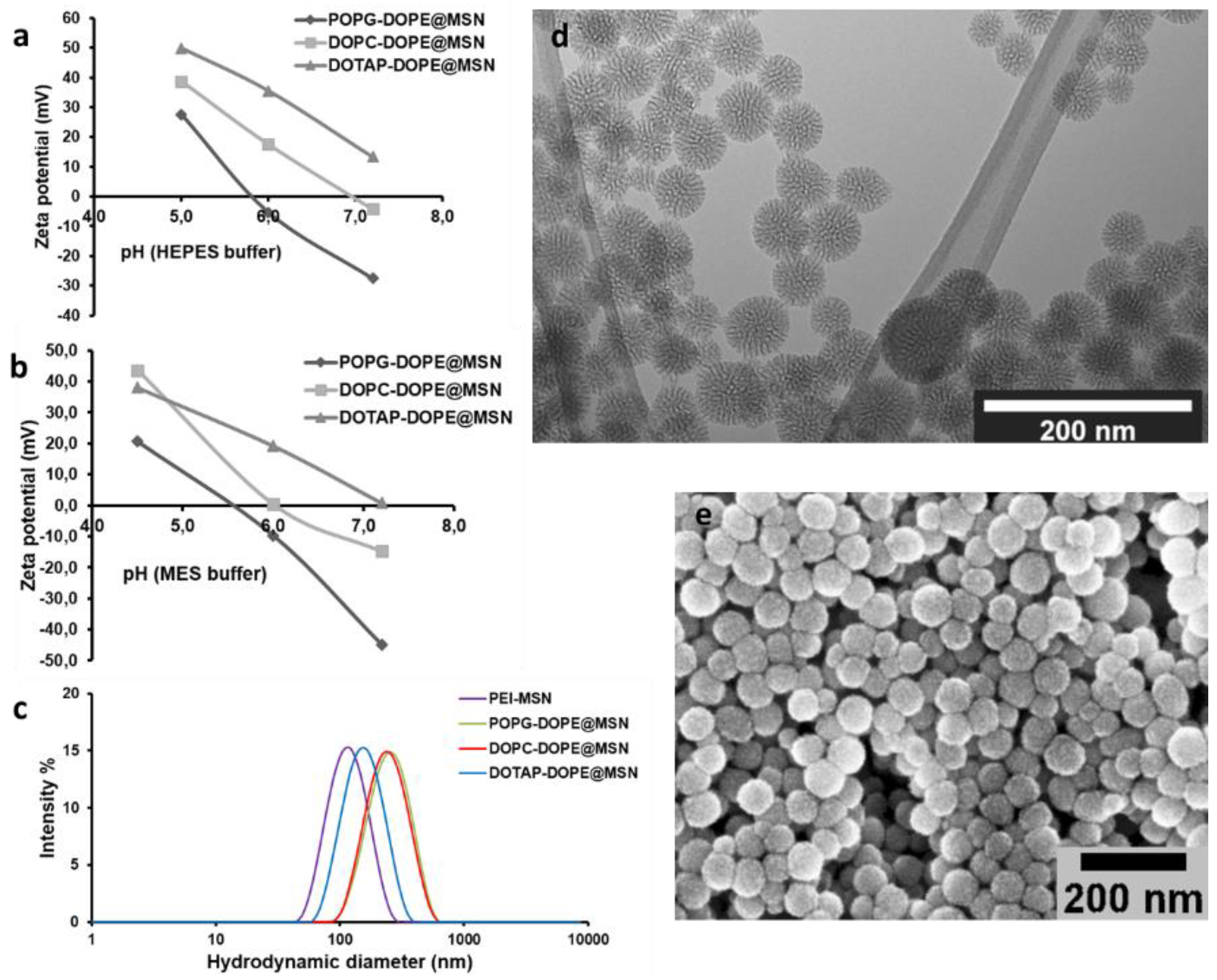 Pharmaceutics 10 00237 g001 Pharmaceutics 10 00237 g001