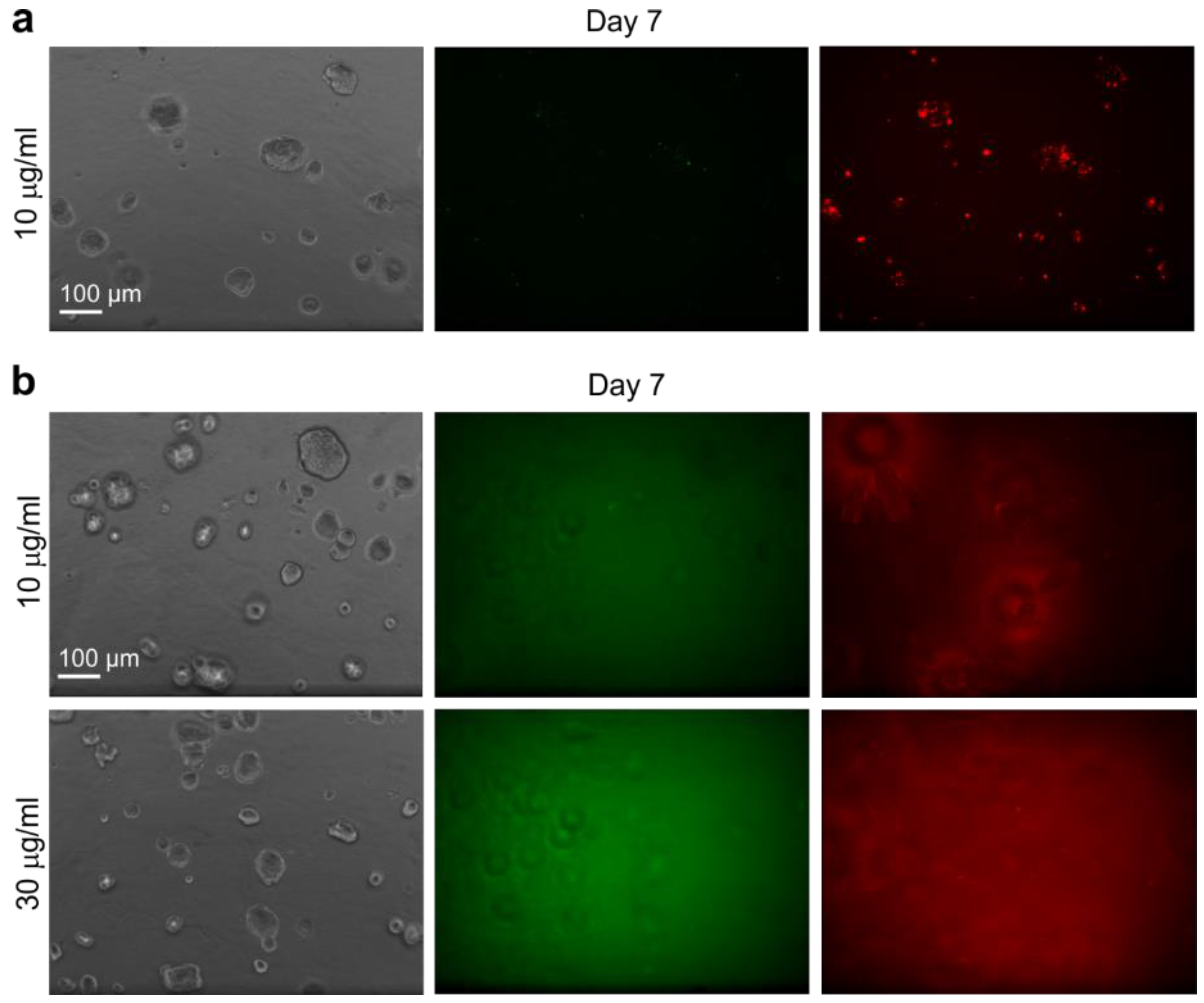 Pharmaceutics 10 00237 g010 Pharmaceutics 10 00237 g010