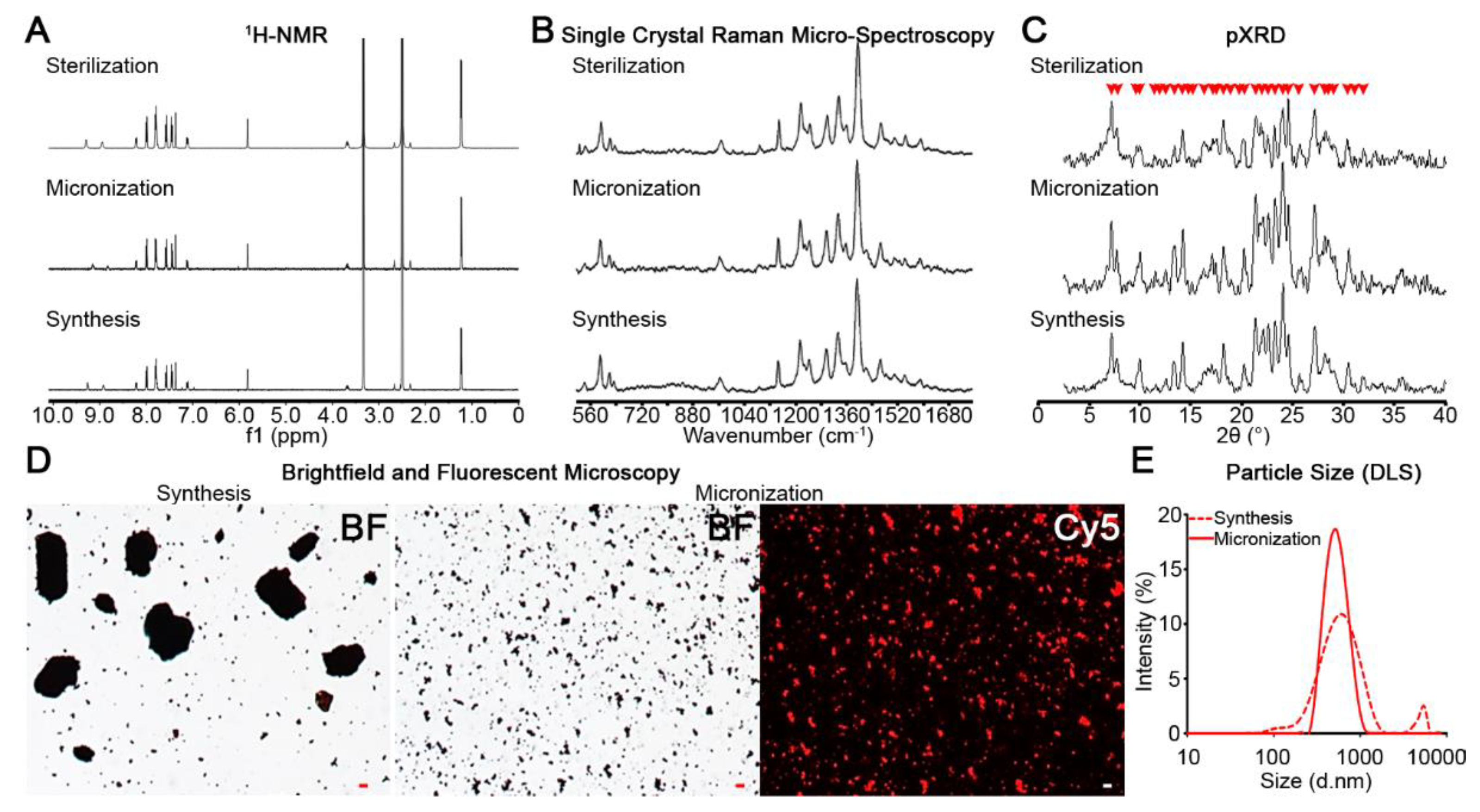 Pharmaceutics 10 00238 g003