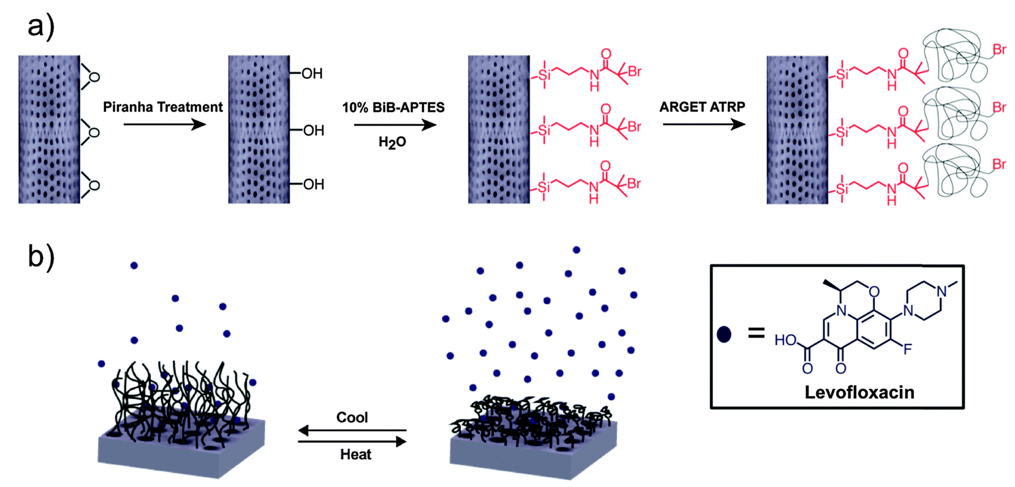Pharmaceutics 10 00242 g003 Pharmaceutics 10 00242 g003