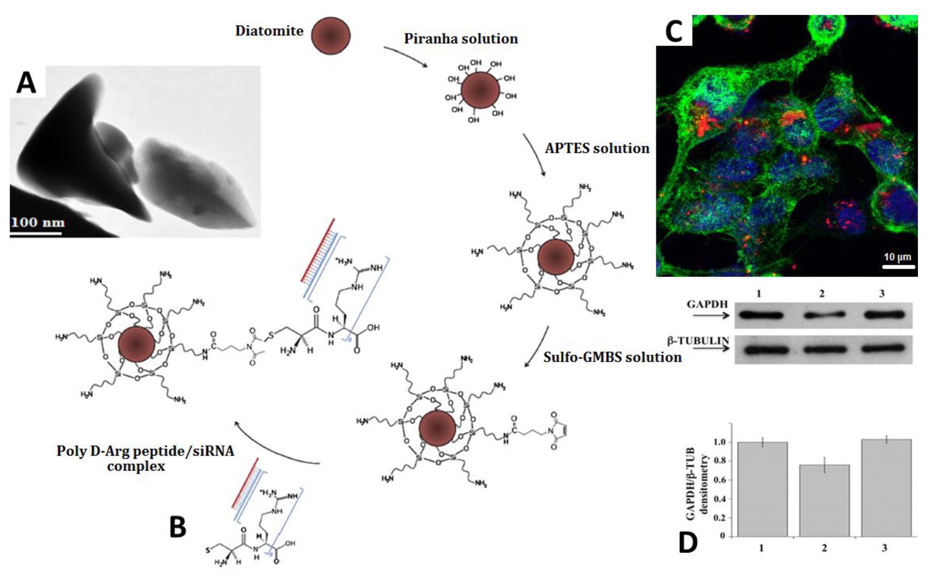 Pharmaceutics 10 00242 g005 Pharmaceutics 10 00242 g005