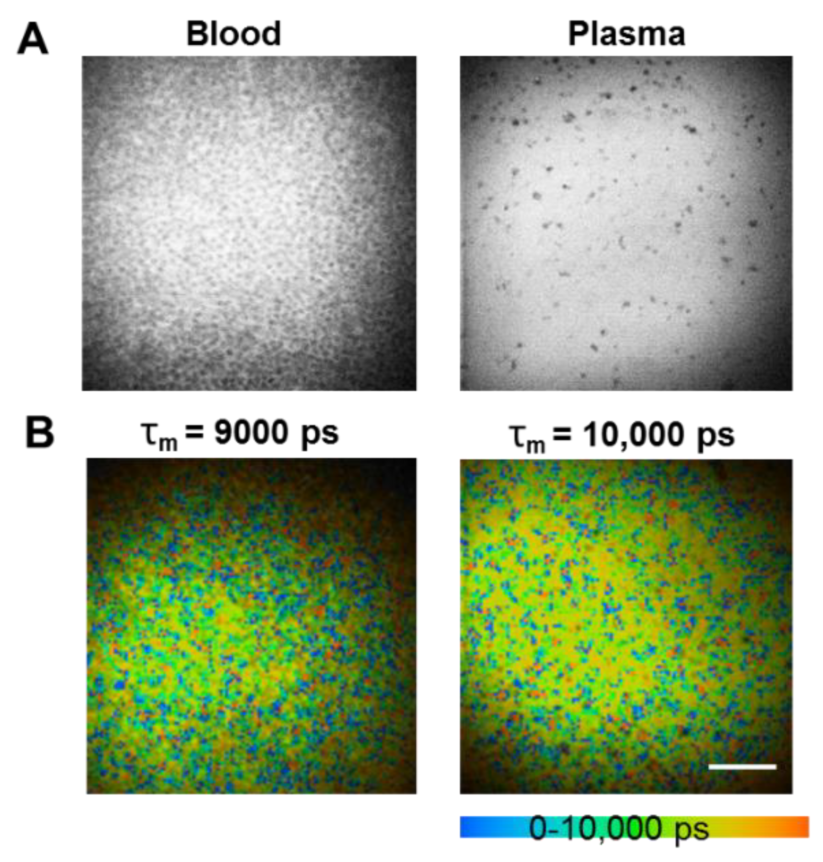 Pharmaceutics 10 00244 g002