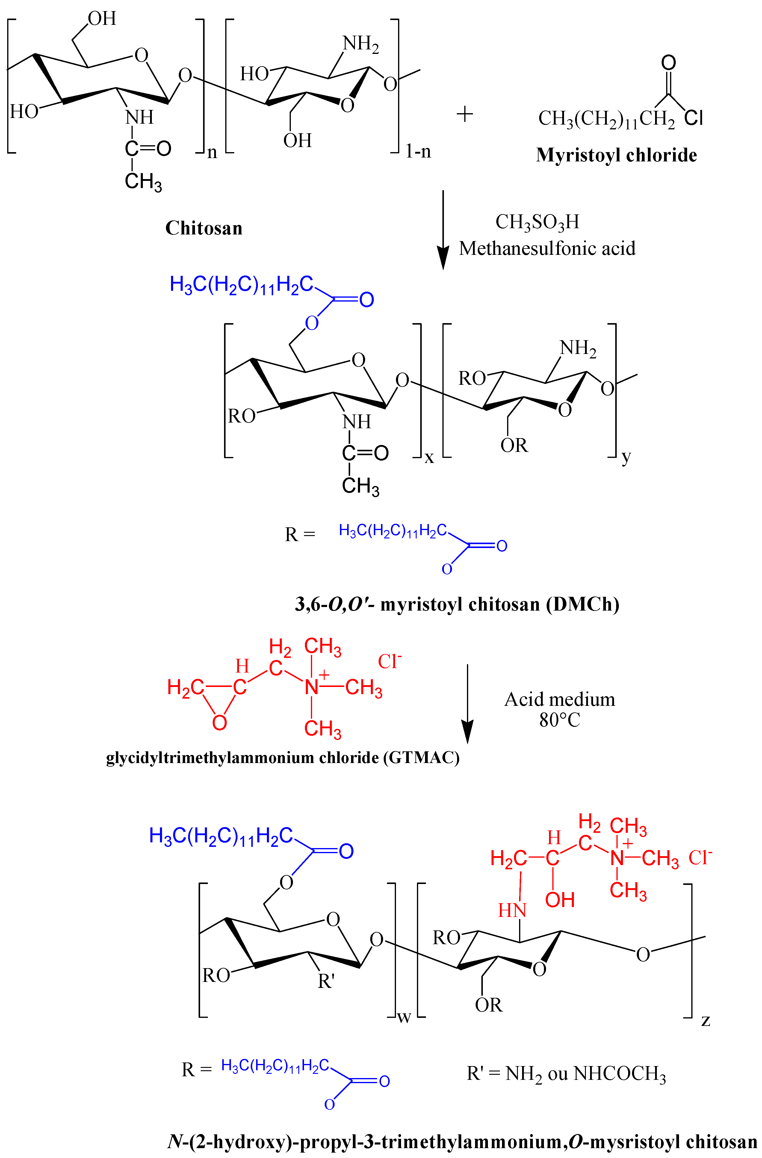 Pharmaceutics 10 00245 sch001 Pharmaceutics 10 00245 sch001