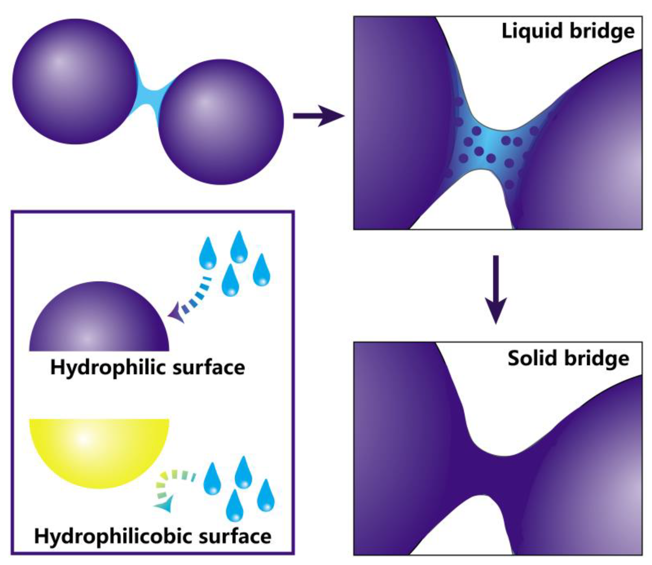 Pharmaceutics 10 00252 g001