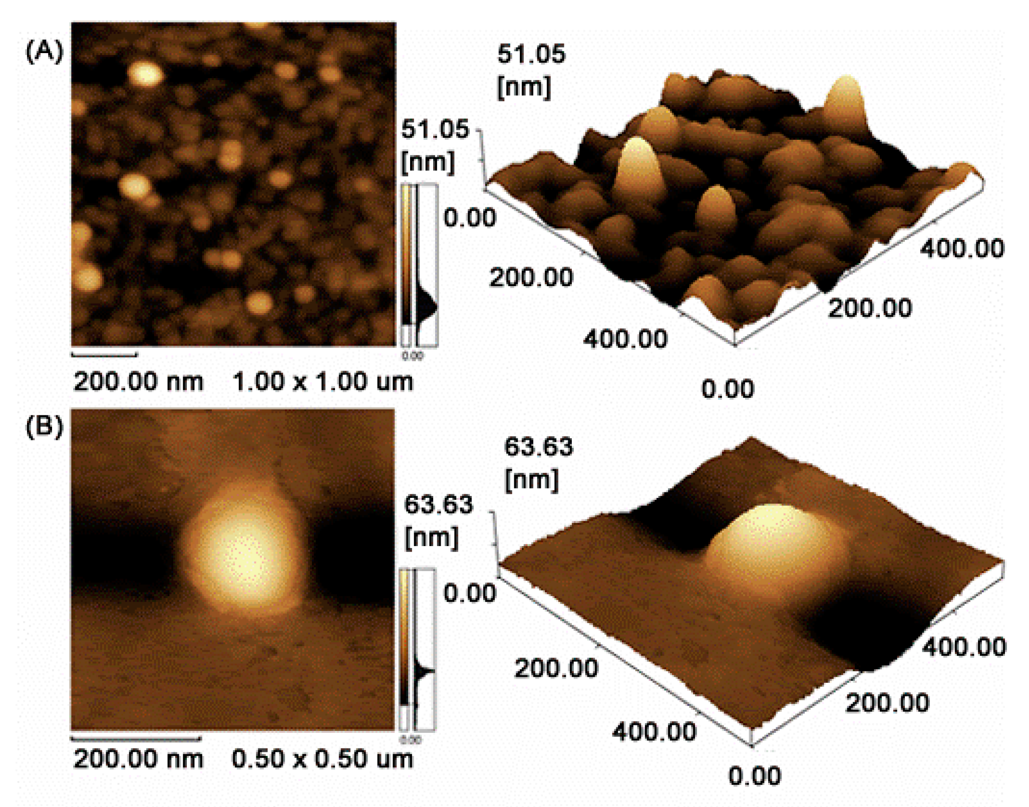 Pharmaceutics 10 00255 g001