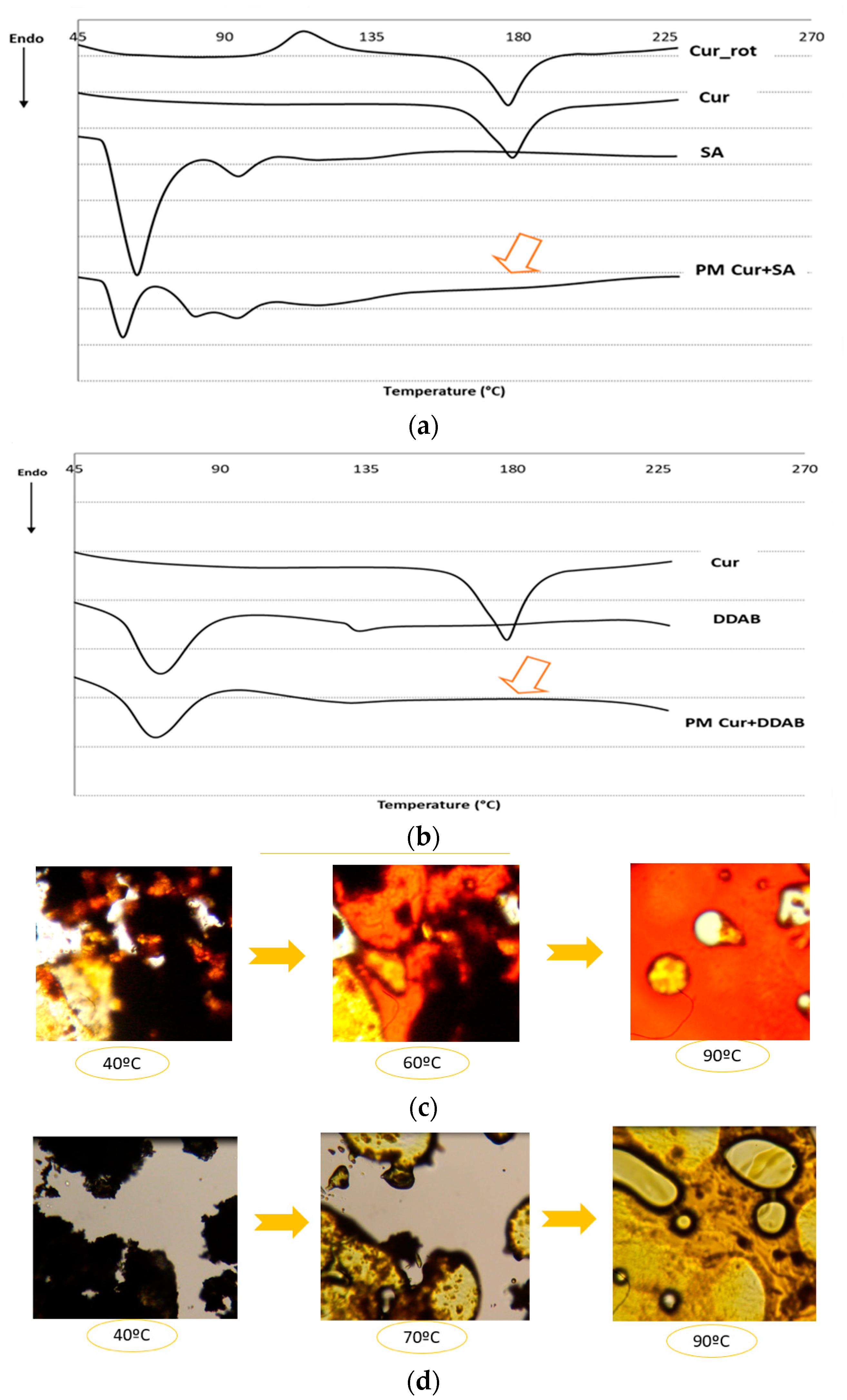 Pharmaceutics 10 00256 g002
