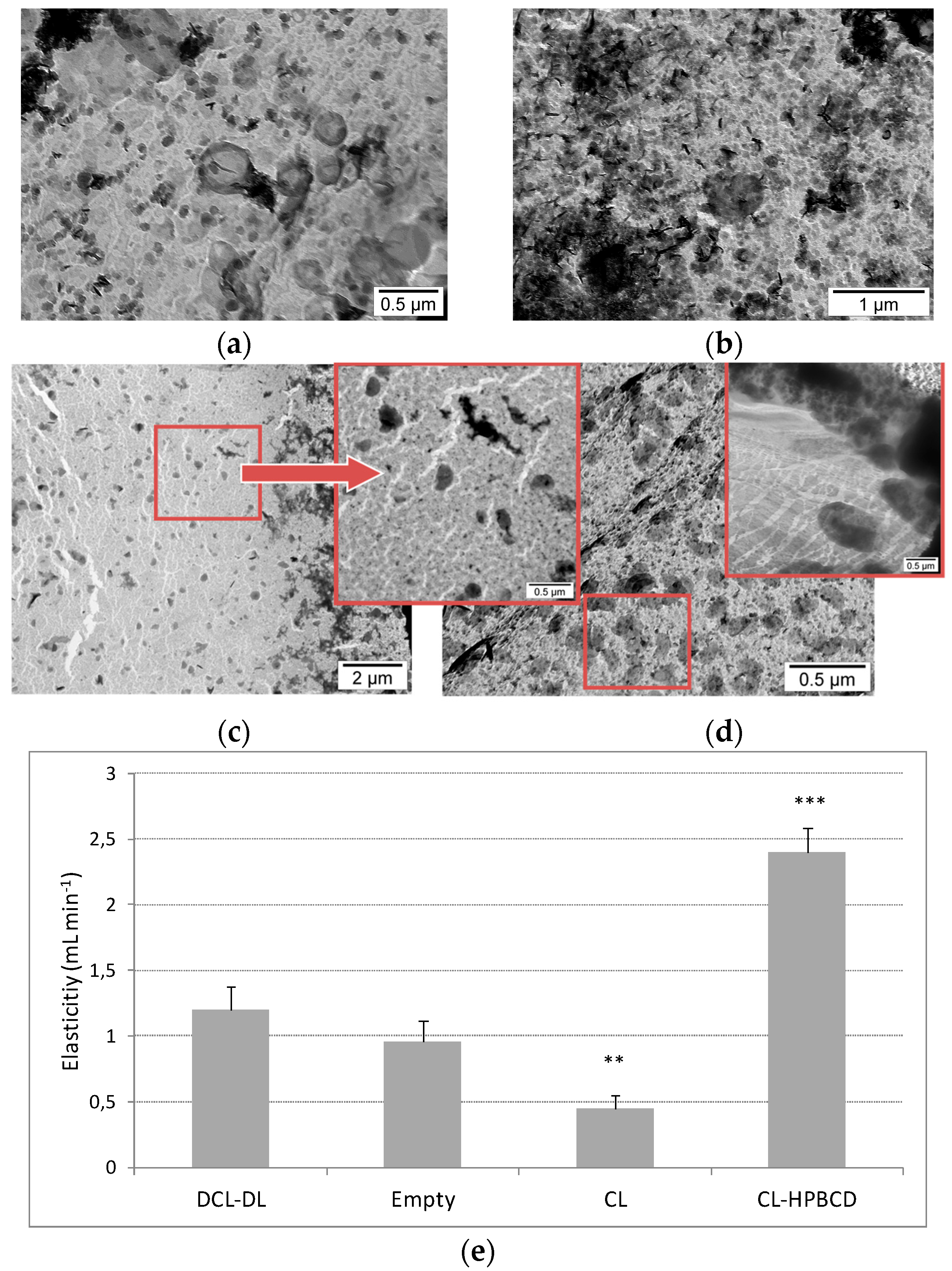 Pharmaceutics 10 00256 g009