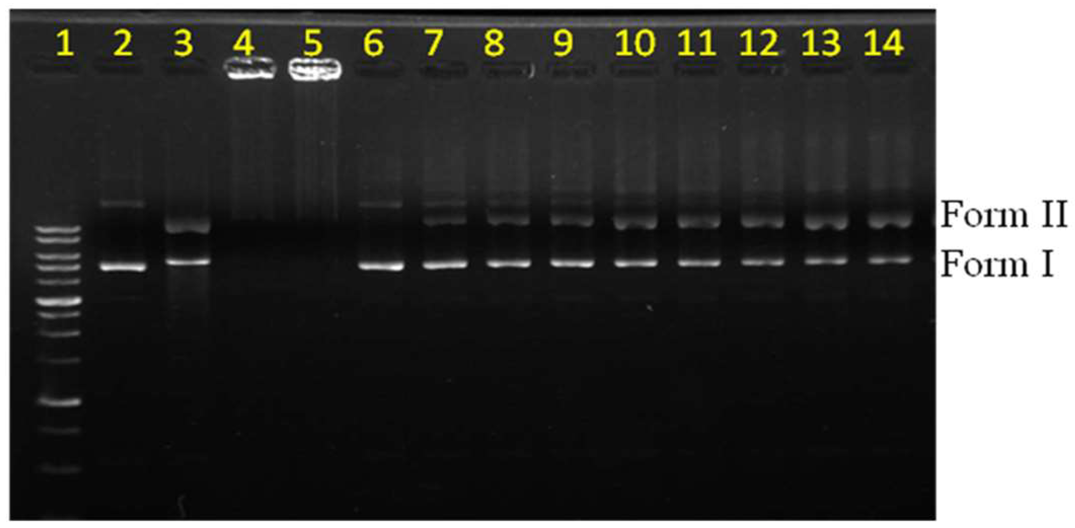 Pharmaceutics 10 00258 g002 Pharmaceutics 10 00258 g002