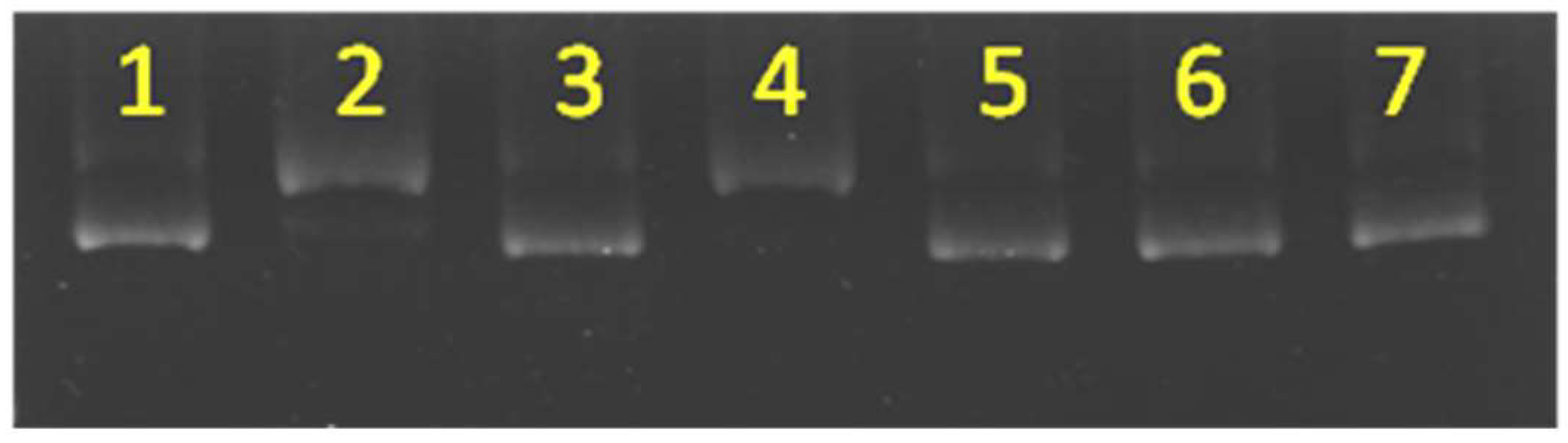 Pharmaceutics 10 00258 g004 Pharmaceutics 10 00258 g004