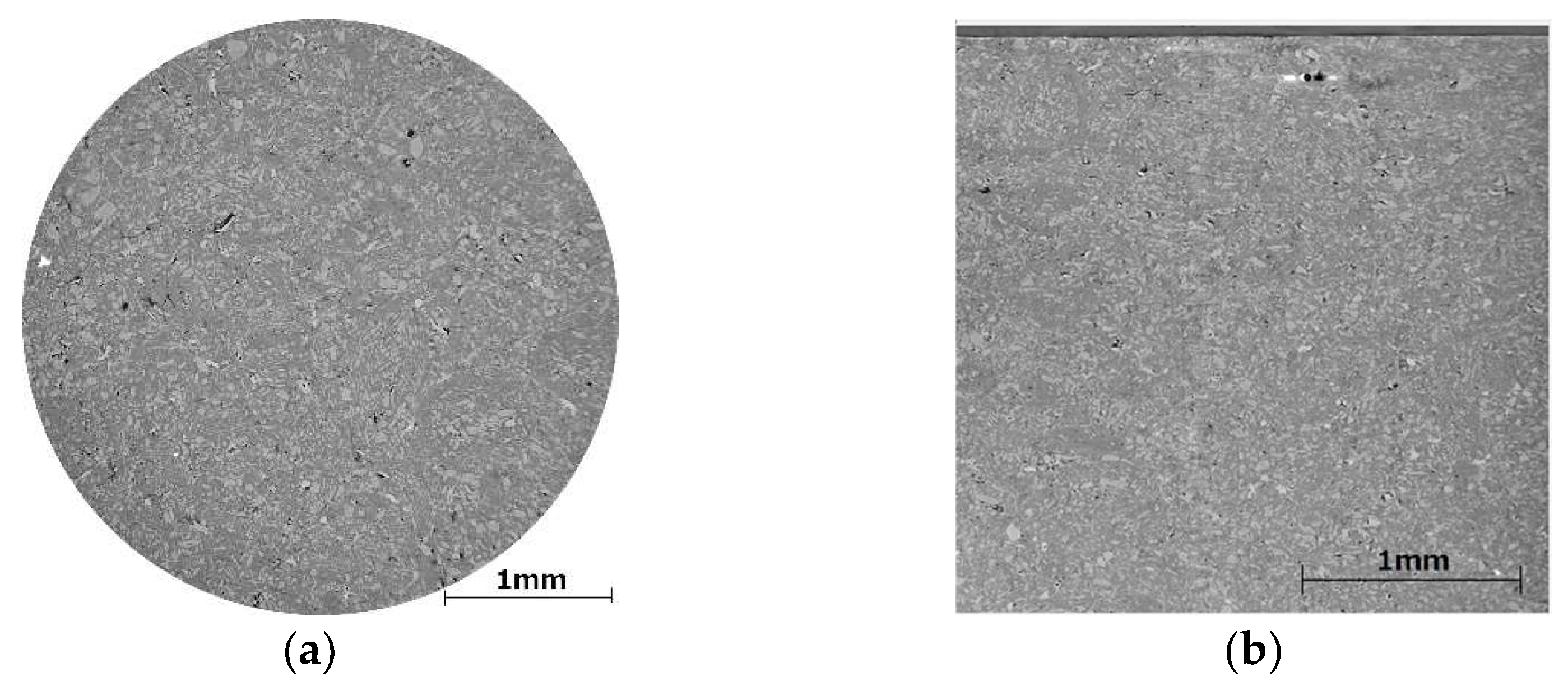 Pharmaceutics 10 00259 g002a