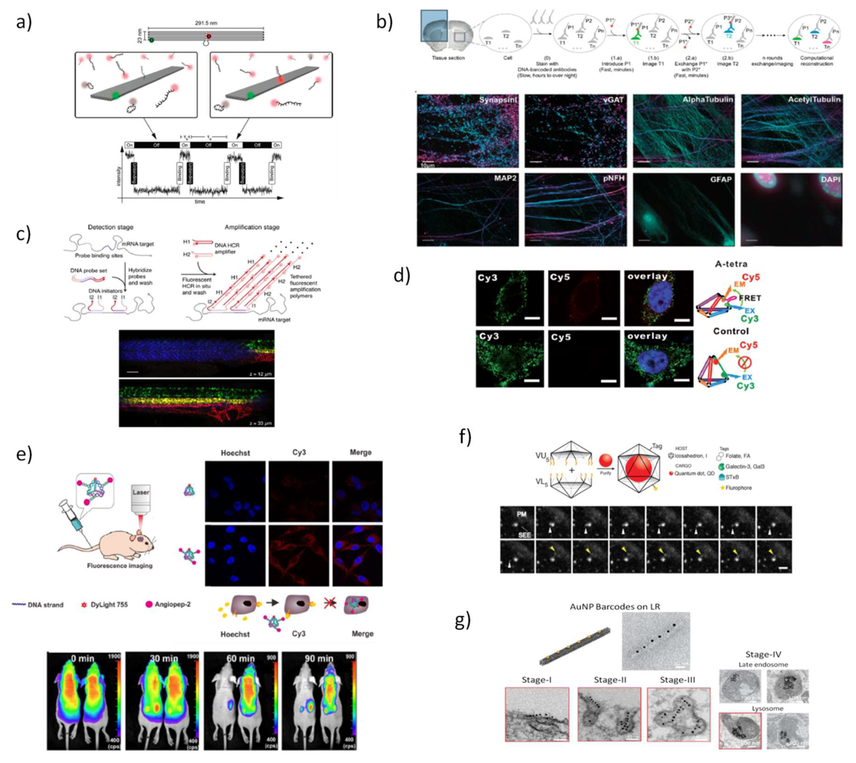 Pharmaceutics 10 00268 g003