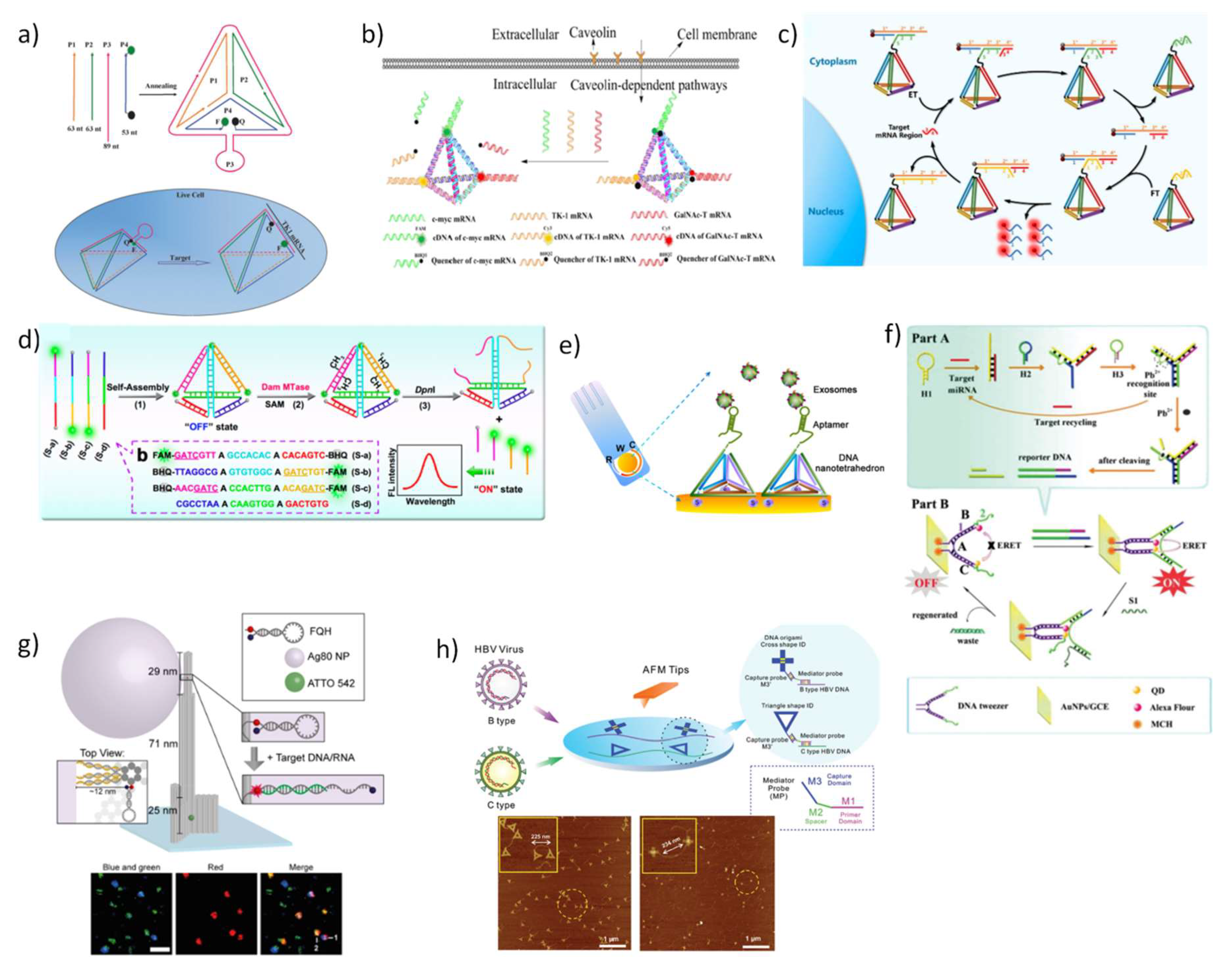 Pharmaceutics 10 00268 g004