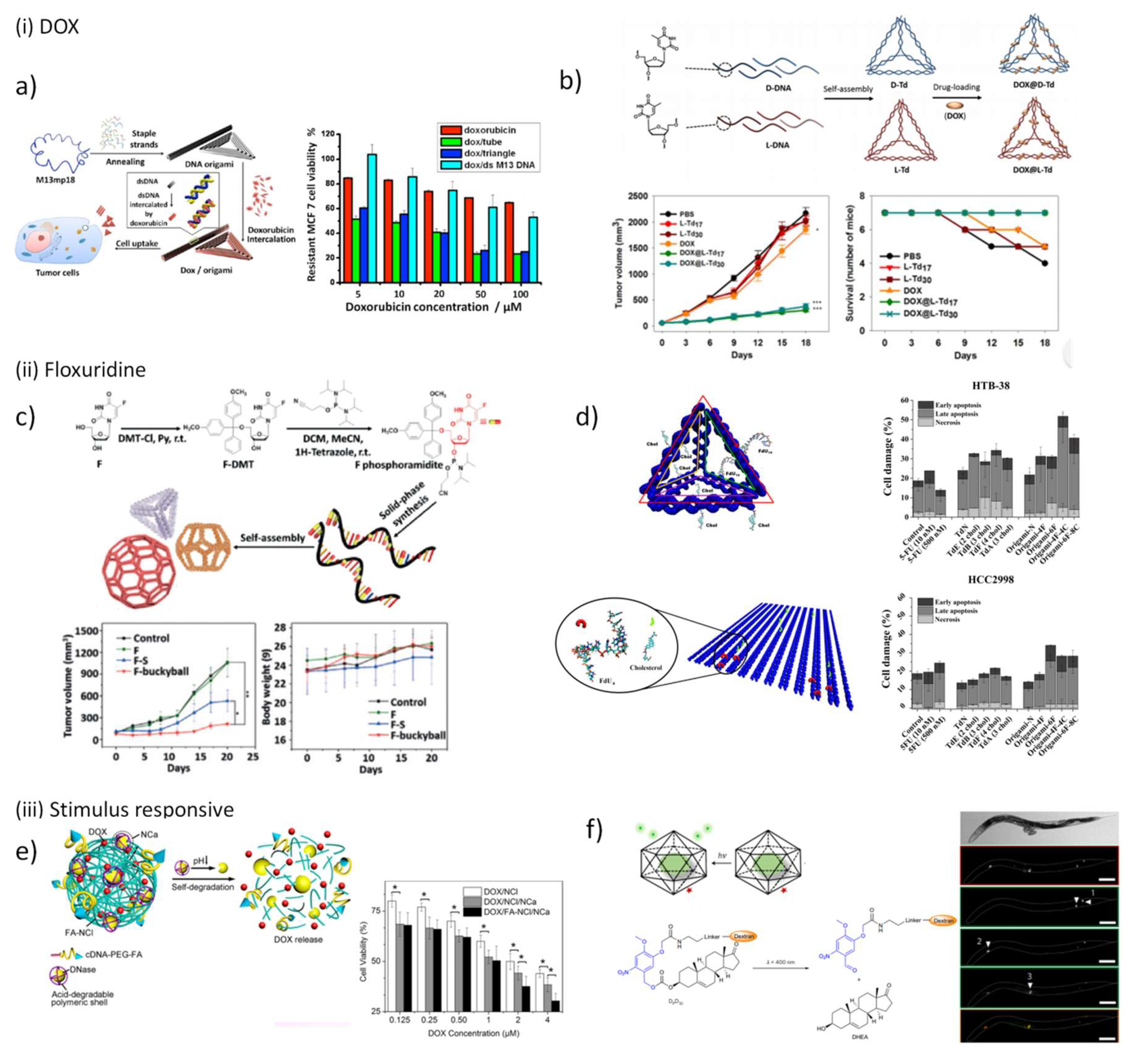 Pharmaceutics 10 00268 g005
