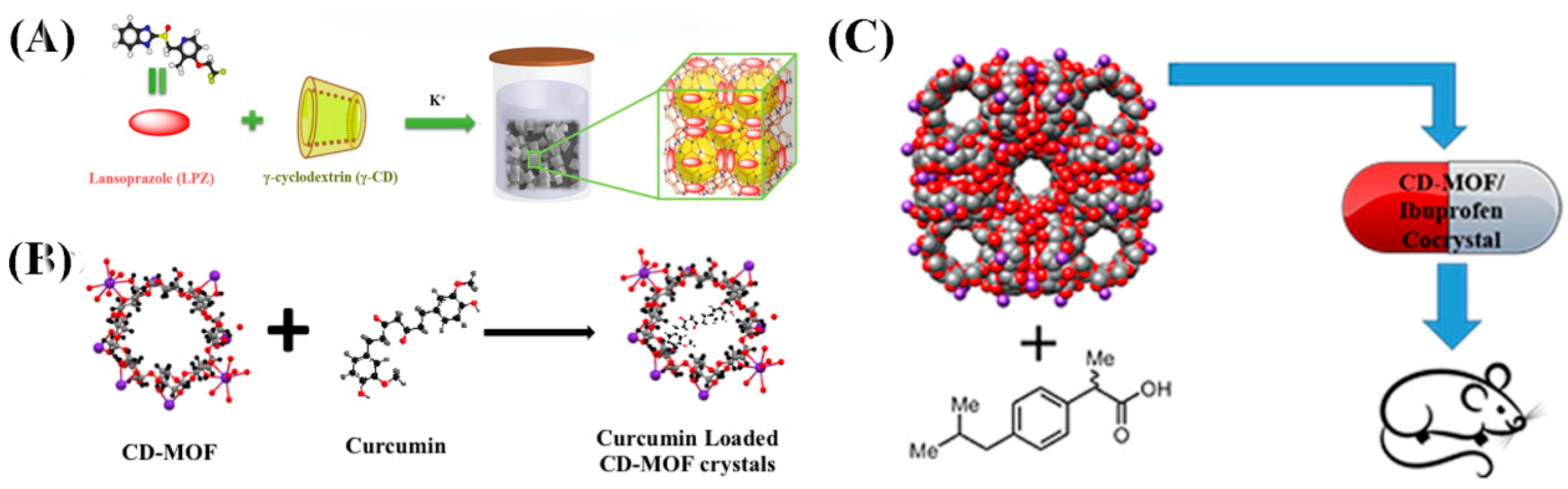 Pharmaceutics 10 00271 g007