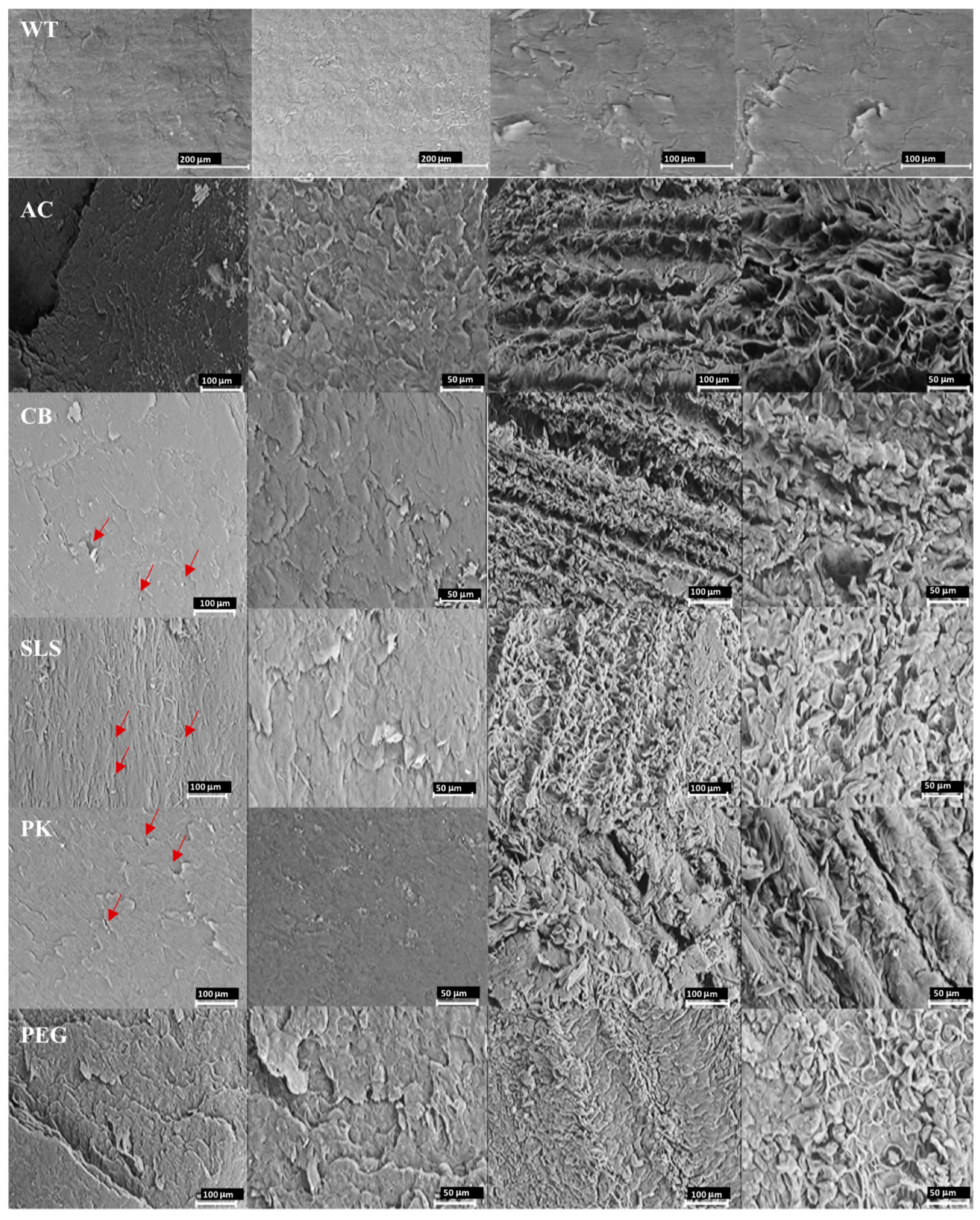 Pharmaceutics 10 00273 g001