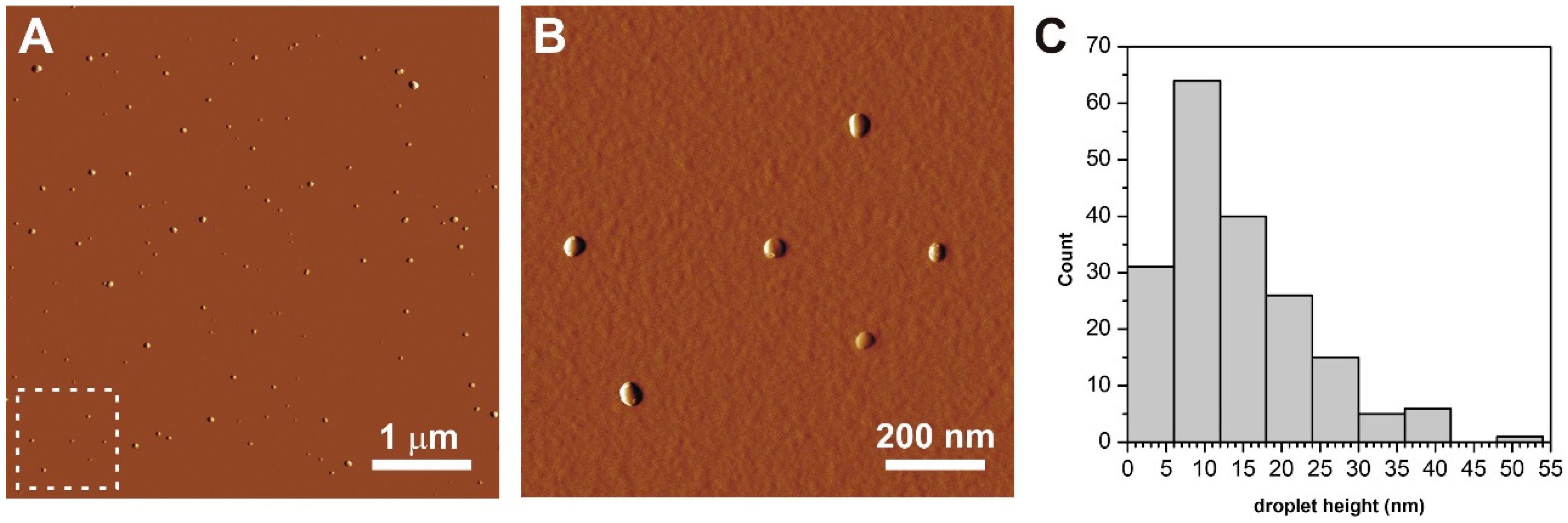 Pharmaceutics 10 00275 g005 Pharmaceutics 10 00275 g005