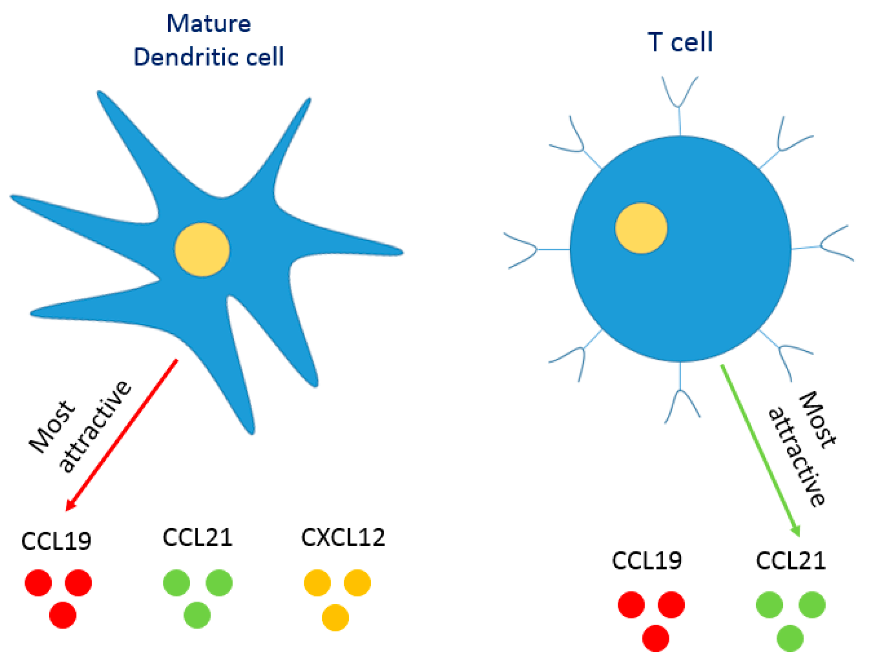 Pharmaceutics 10 00278 g003 Pharmaceutics 10 00278 g003