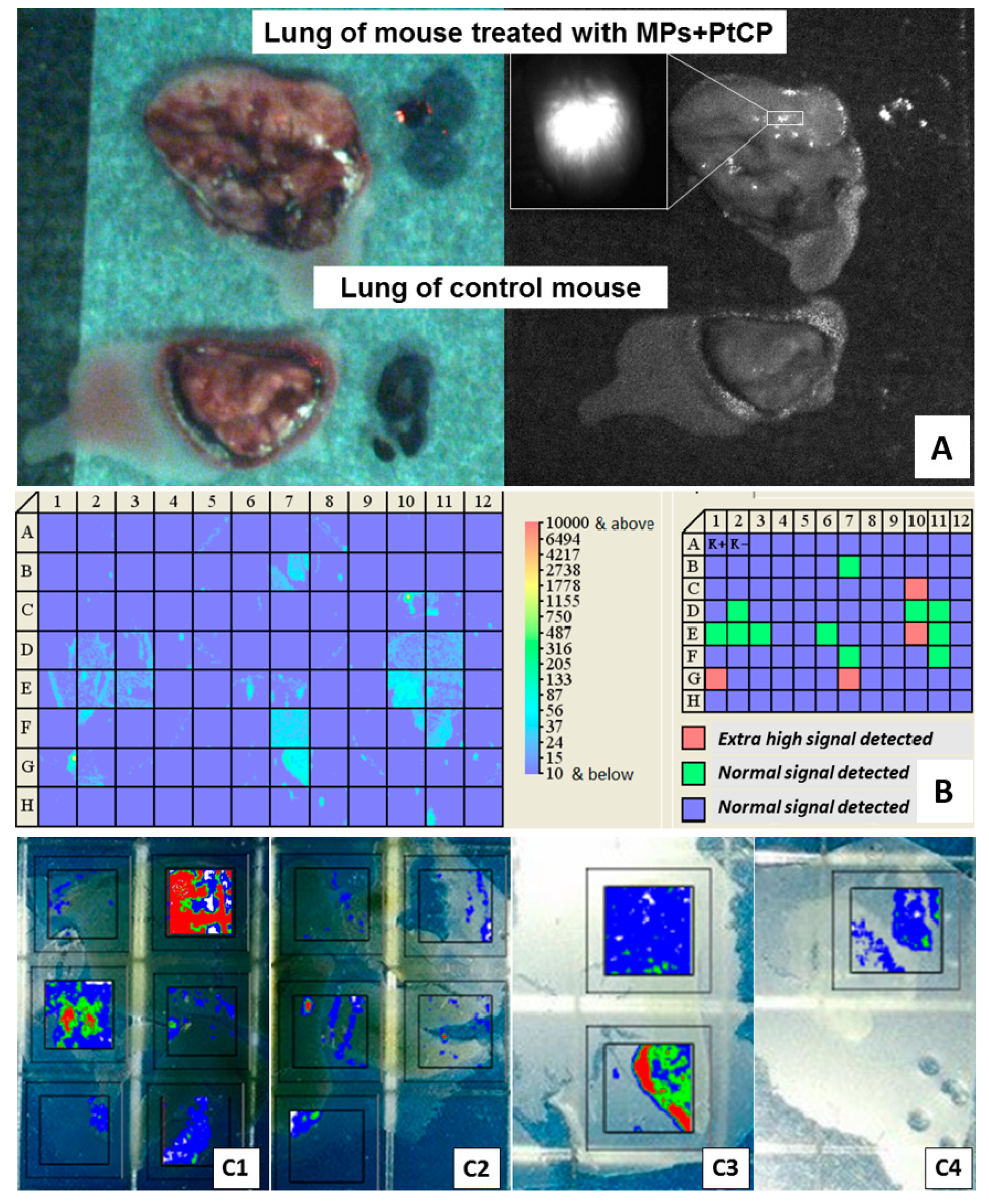 Pharmaceutics 11 00002 g007 Pharmaceutics 11 00002 g007