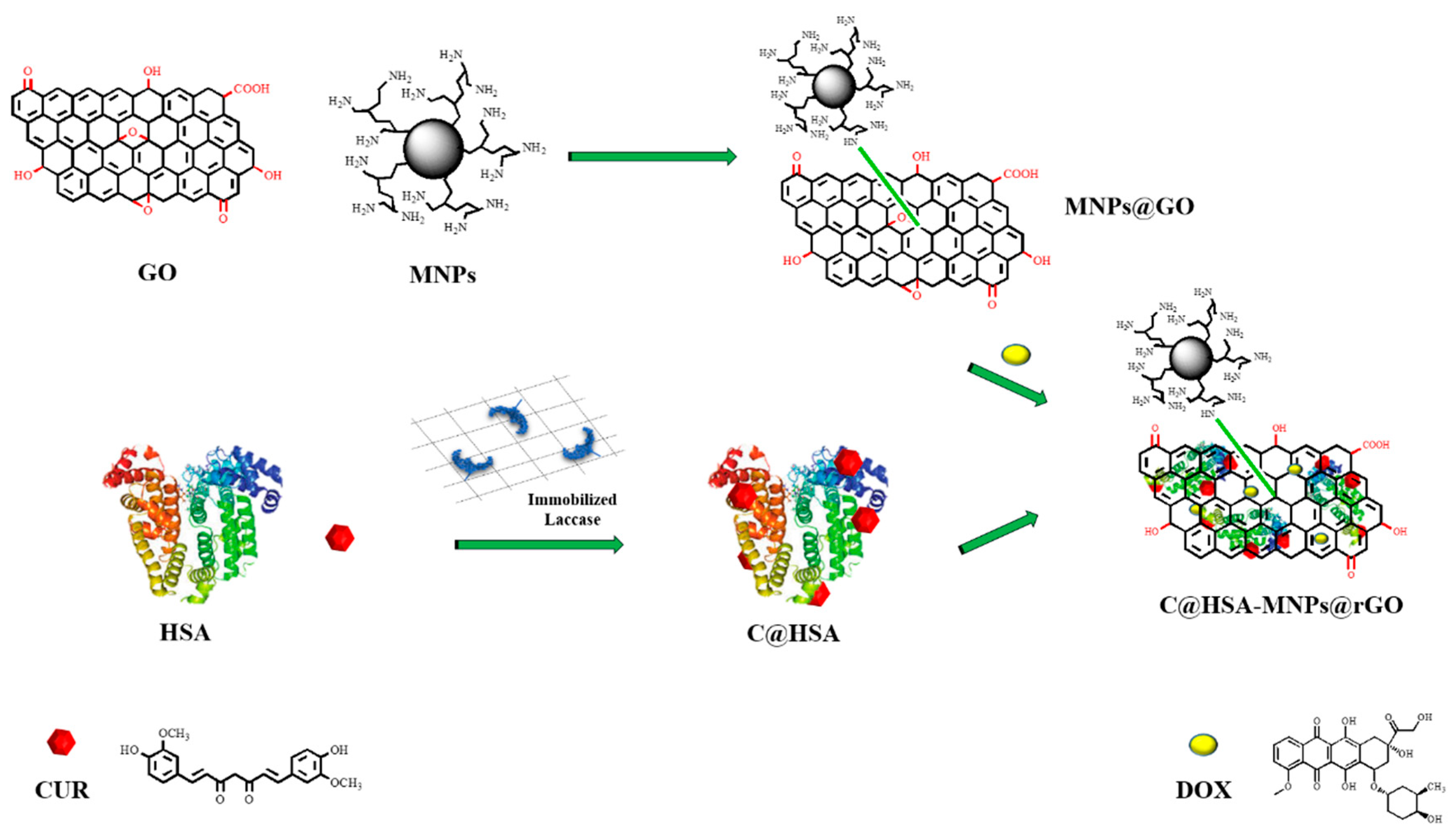 Pharmaceutics 11 00003 g001