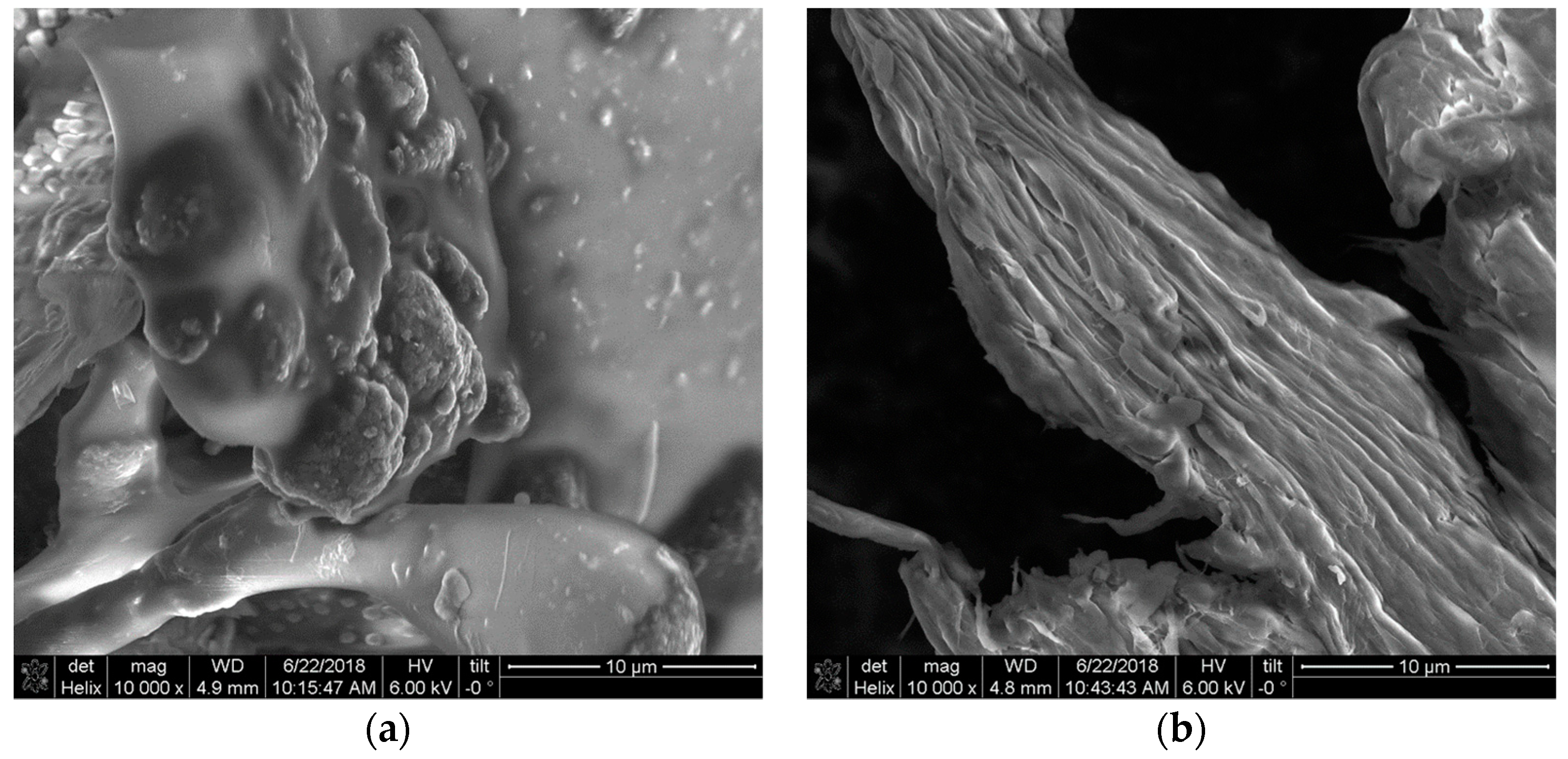 Pharmaceutics 11 00003 g003