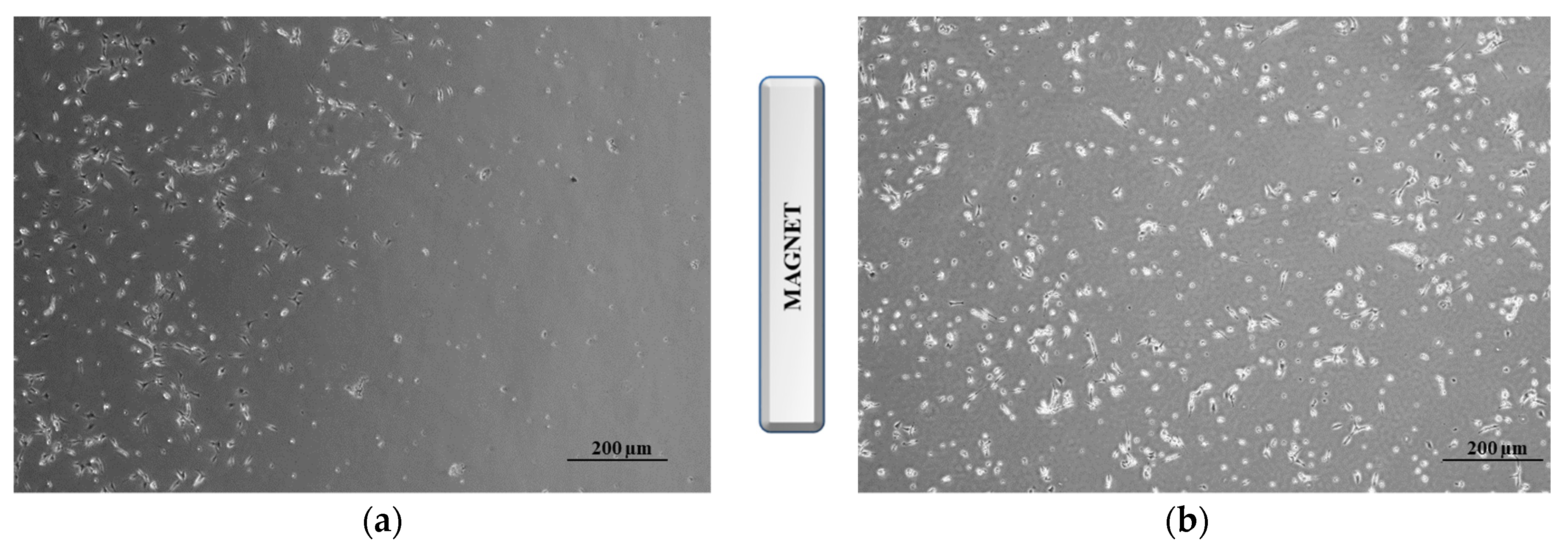 Pharmaceutics 11 00003 g009