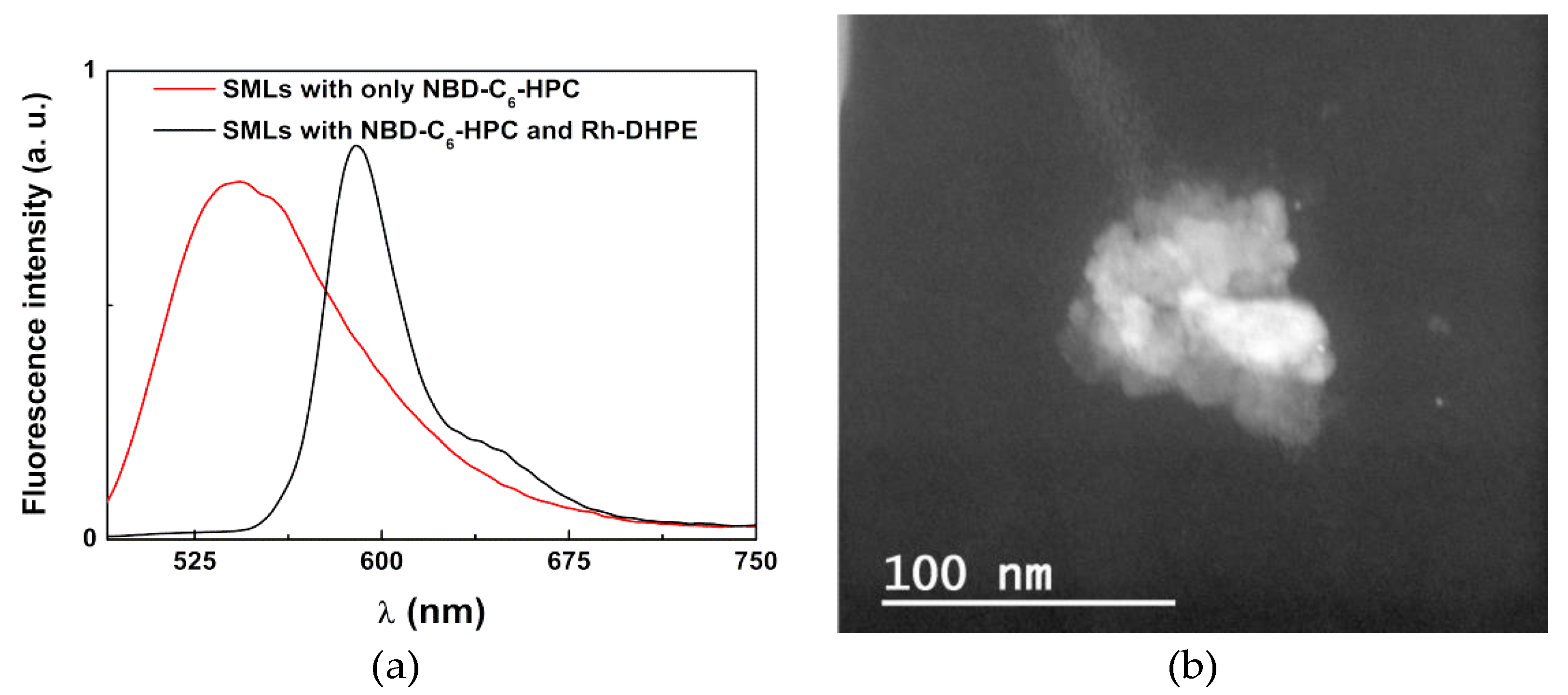 Pharmaceutics 11 00010 g008 Pharmaceutics 11 00010 g008