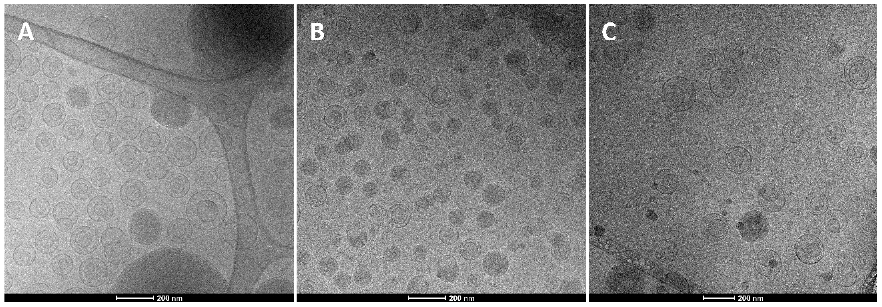 Pharmaceutics 11 00013 g001 Pharmaceutics 11 00013 g001