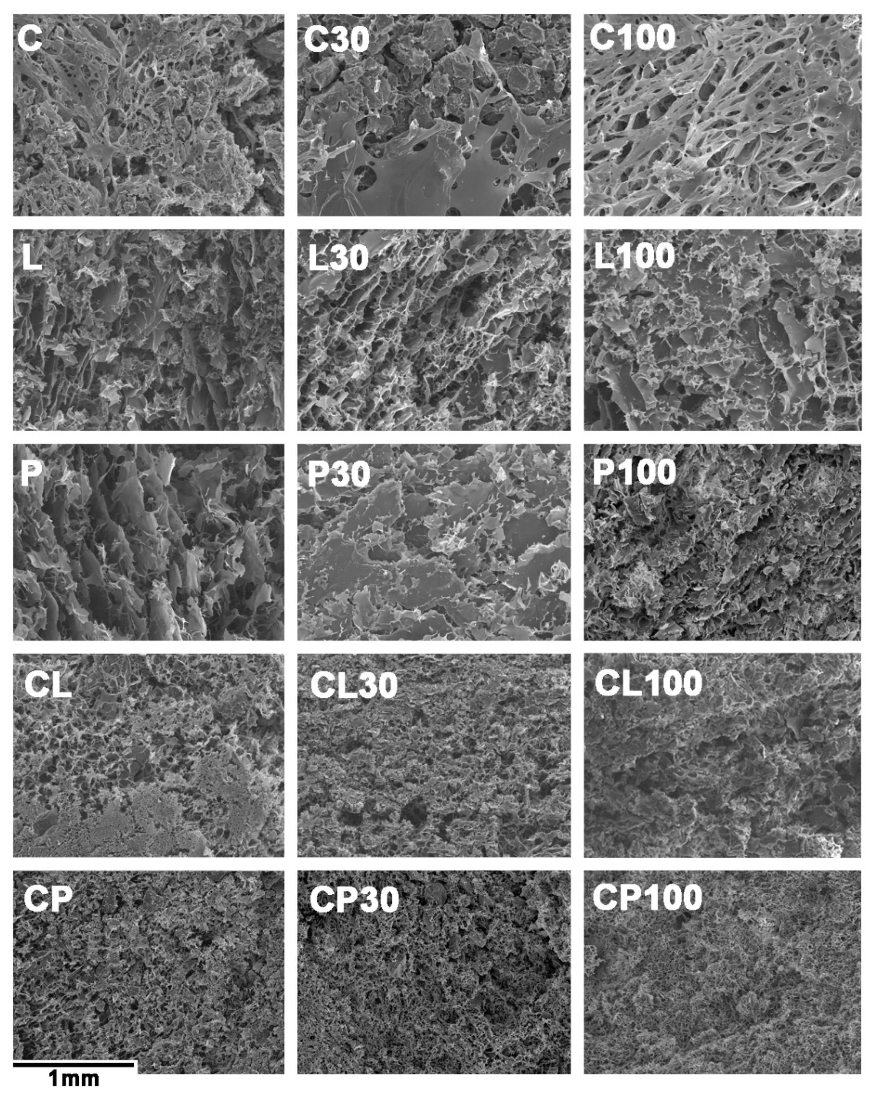 Pharmaceutics 11 00020 g006