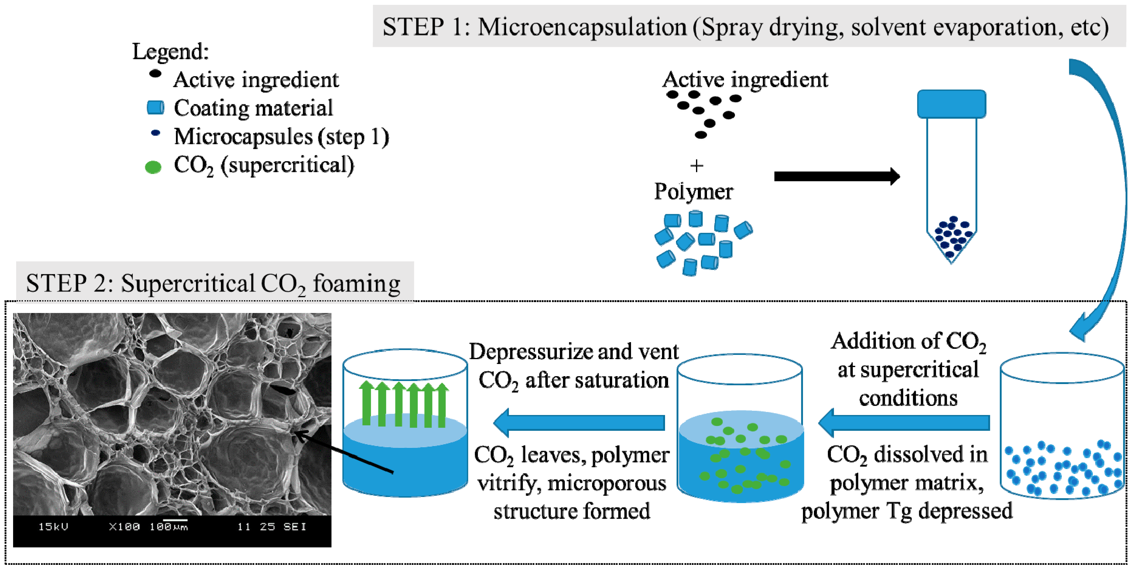 Pharmaceutics 11 00021 g007