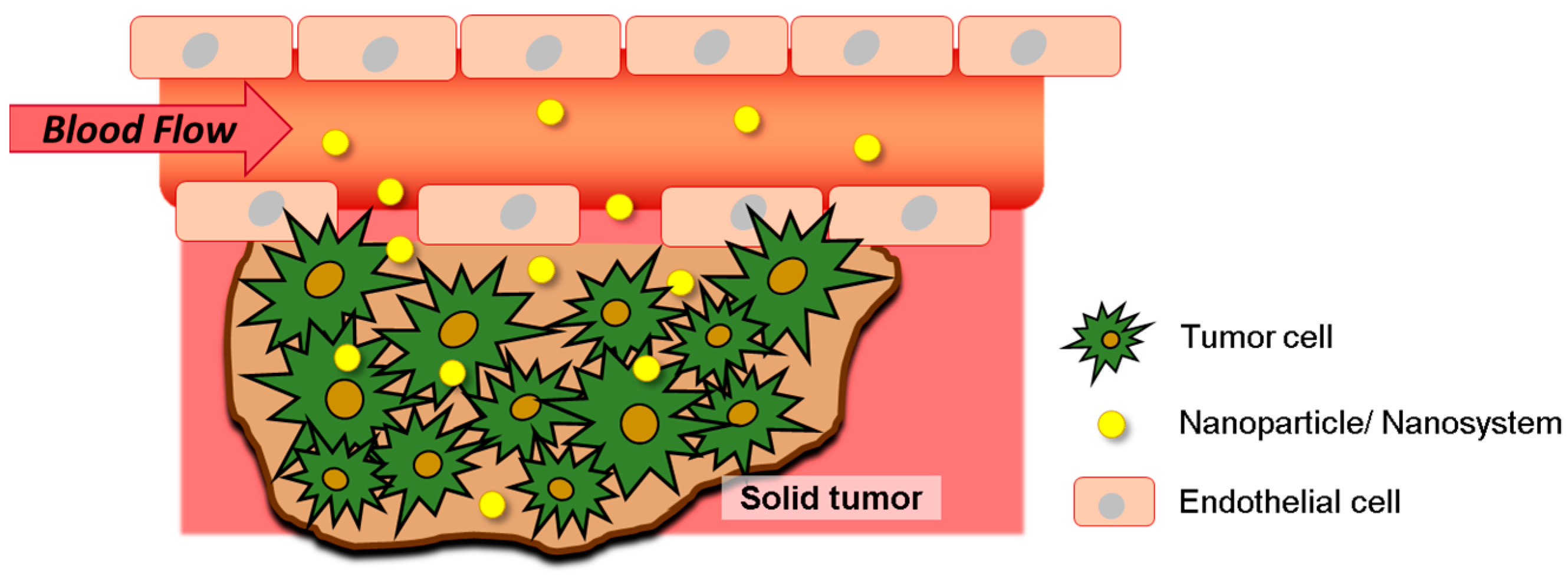 Pharmaceutics 11 00022 g003 Pharmaceutics 11 00022 g003