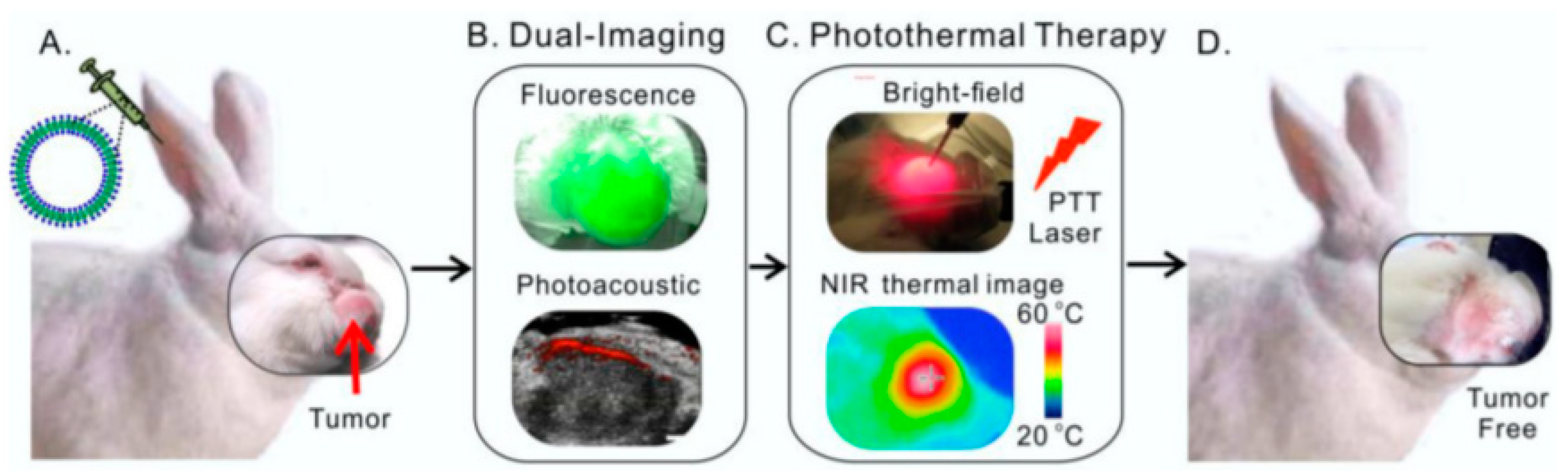 Pharmaceutics 11 00022 g004 Pharmaceutics 11 00022 g004
