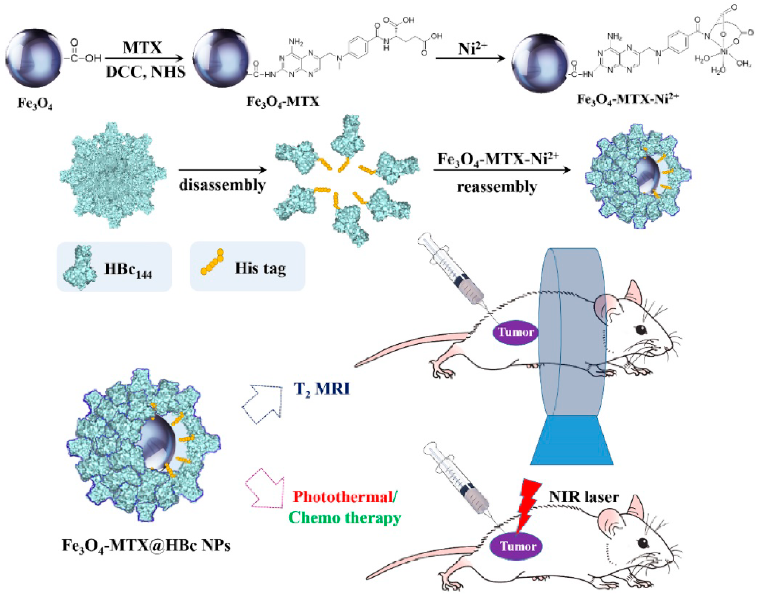 Pharmaceutics 11 00022 g005 Pharmaceutics 11 00022 g005