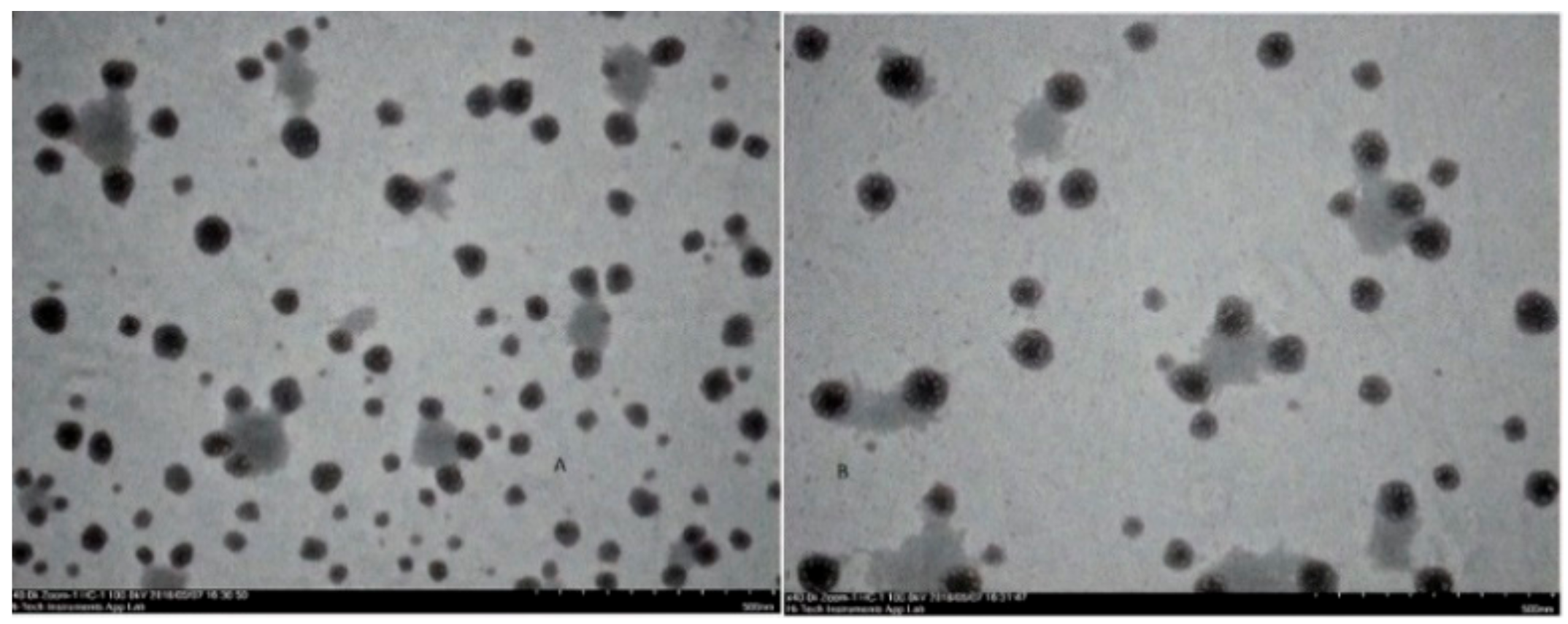 Pharmaceutics 11 00026 g005