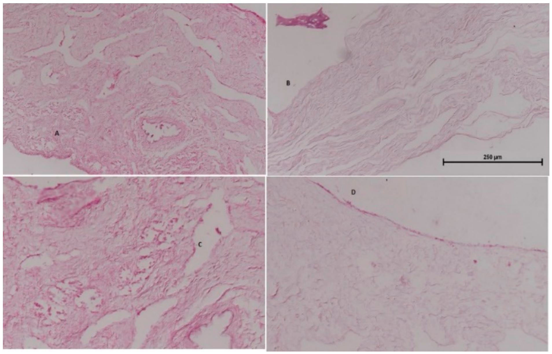 Pharmaceutics 11 00026 g013