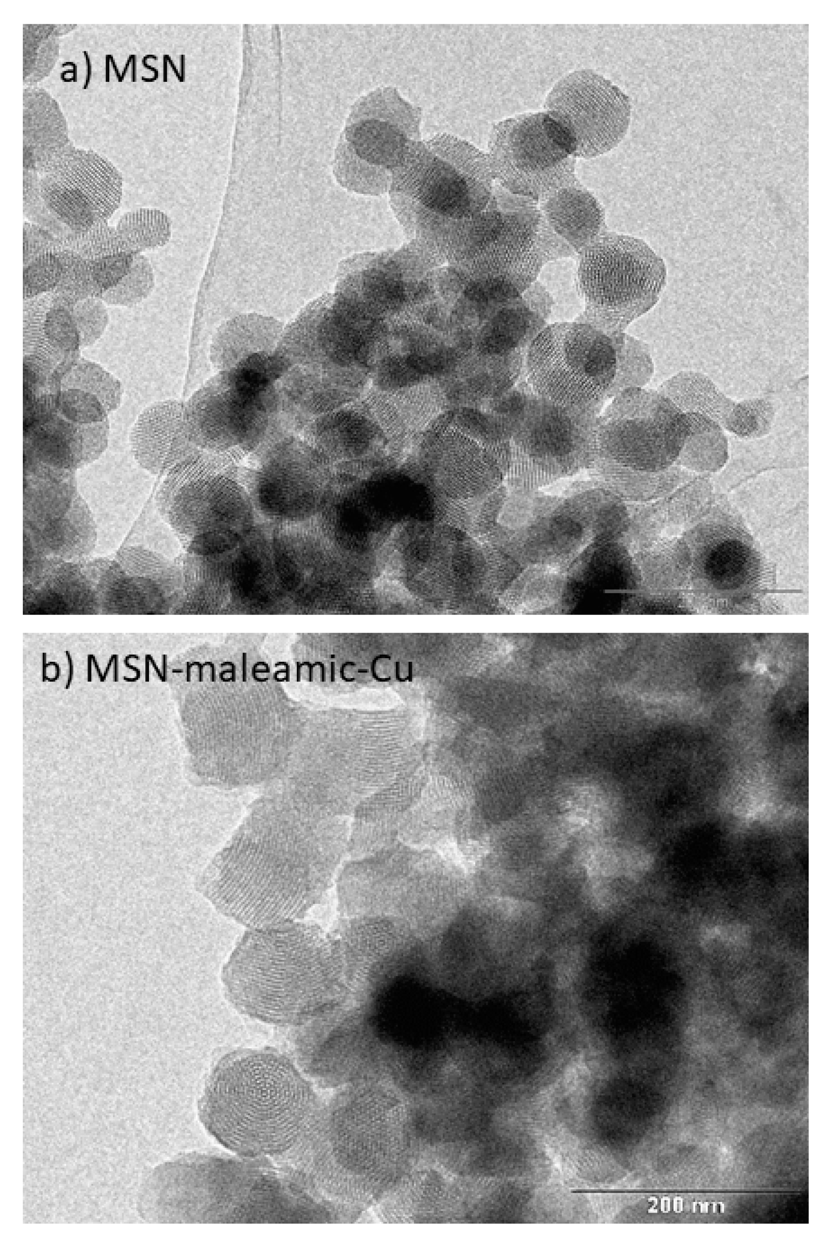 Pharmaceutics 11 00030 g006 Pharmaceutics 11 00030 g006