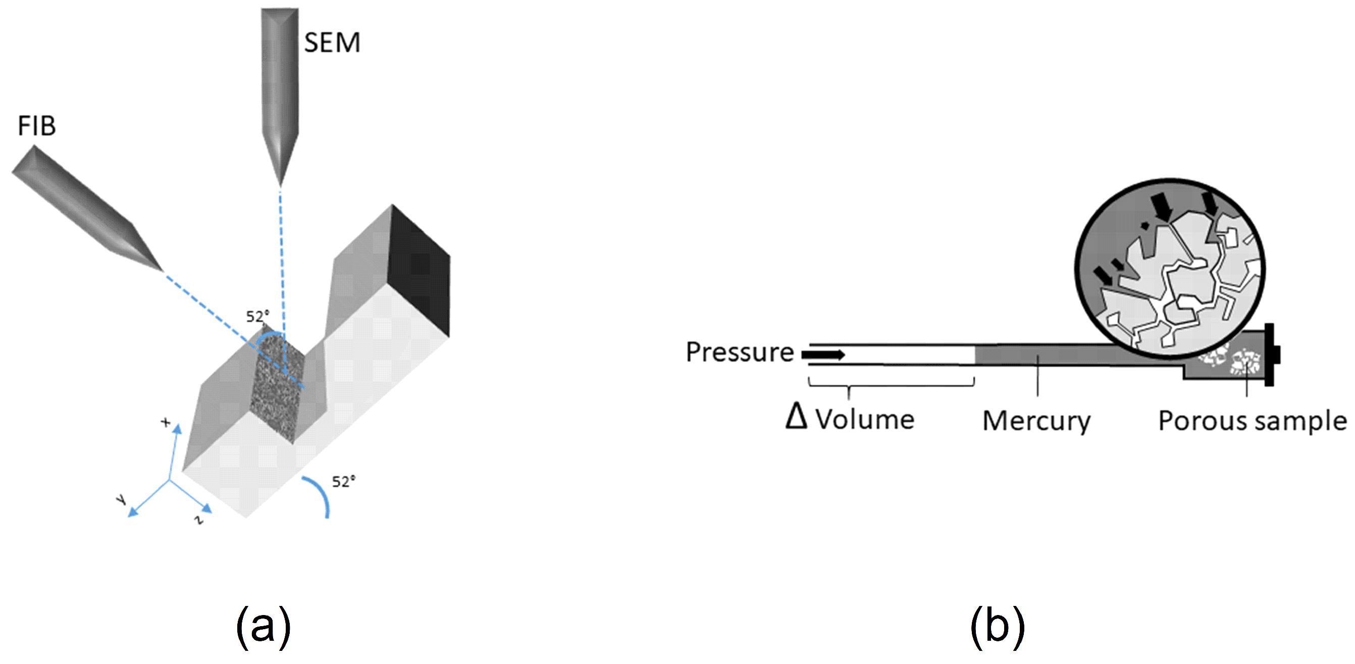 Pharmaceutics 11 00032 g001