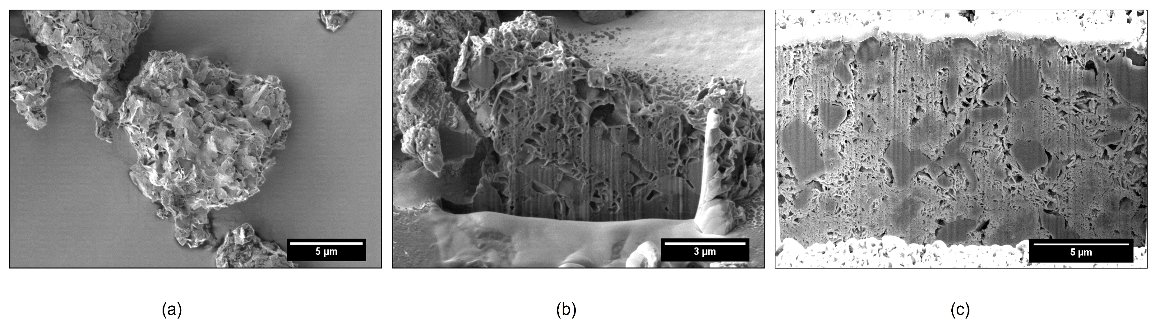 Pharmaceutics 11 00032 g003