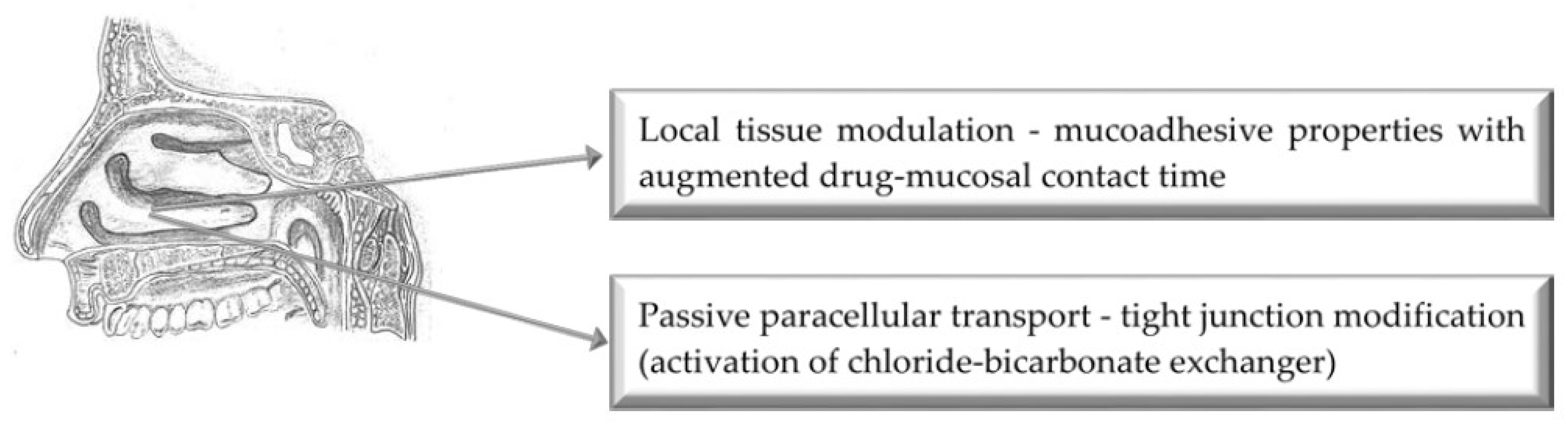 Pharmaceutics 11 00033 g002