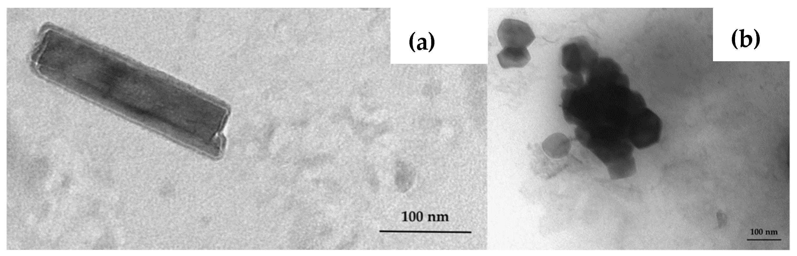 Pharmaceutics 11 00034 g003