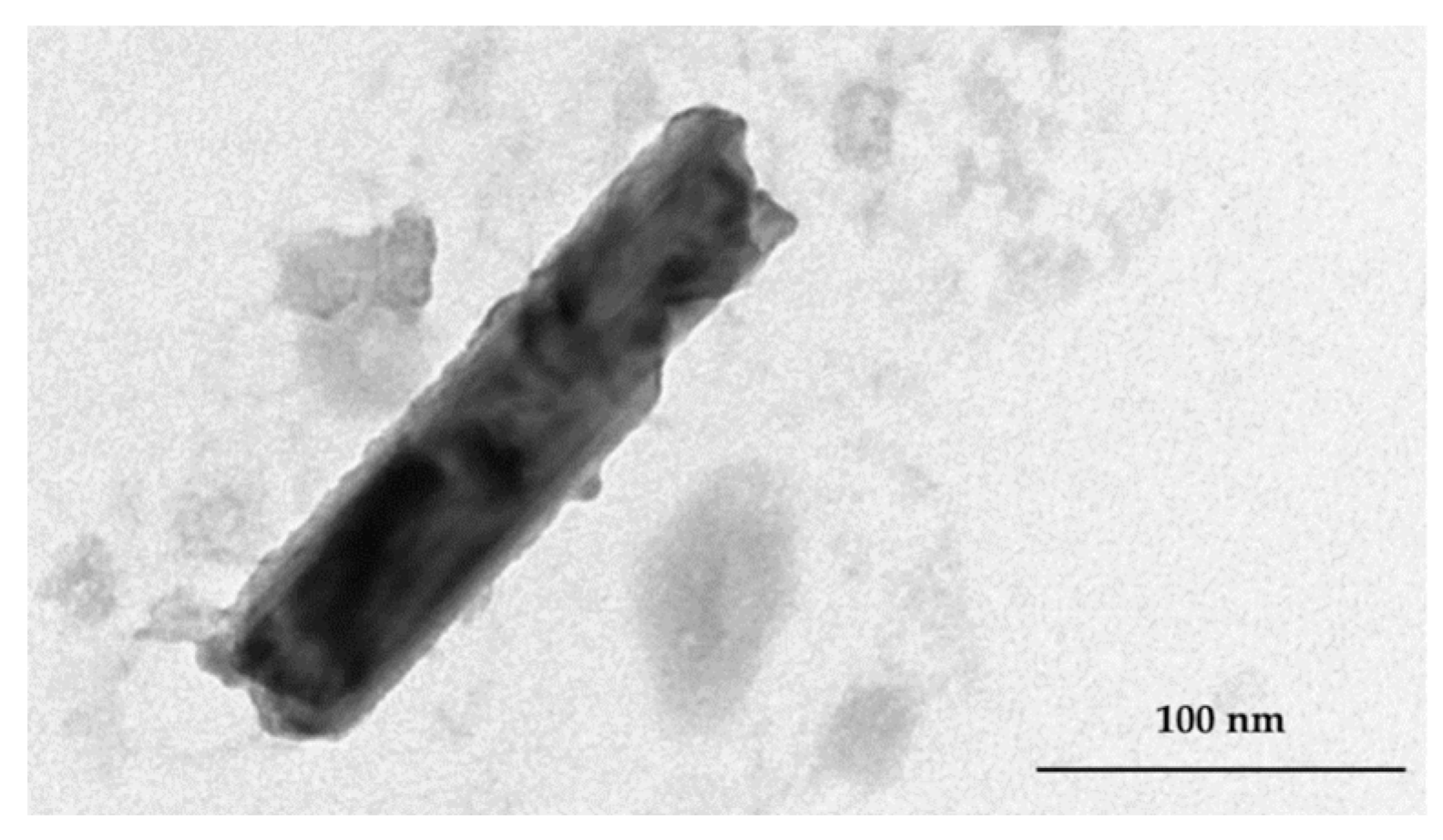 Pharmaceutics 11 00034 g004