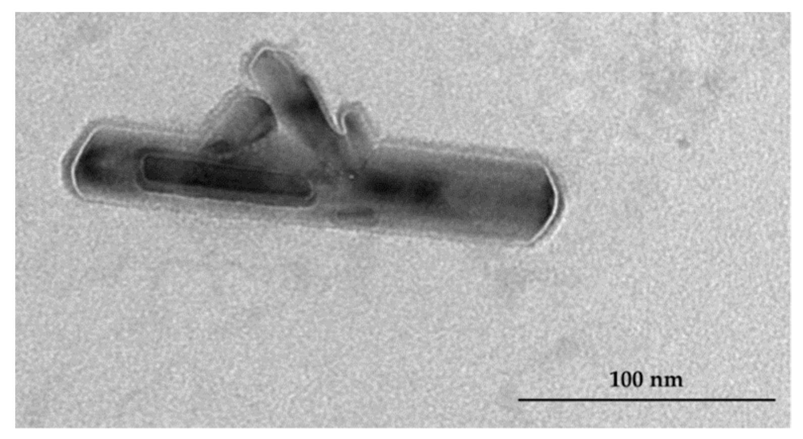 Pharmaceutics 11 00034 g005