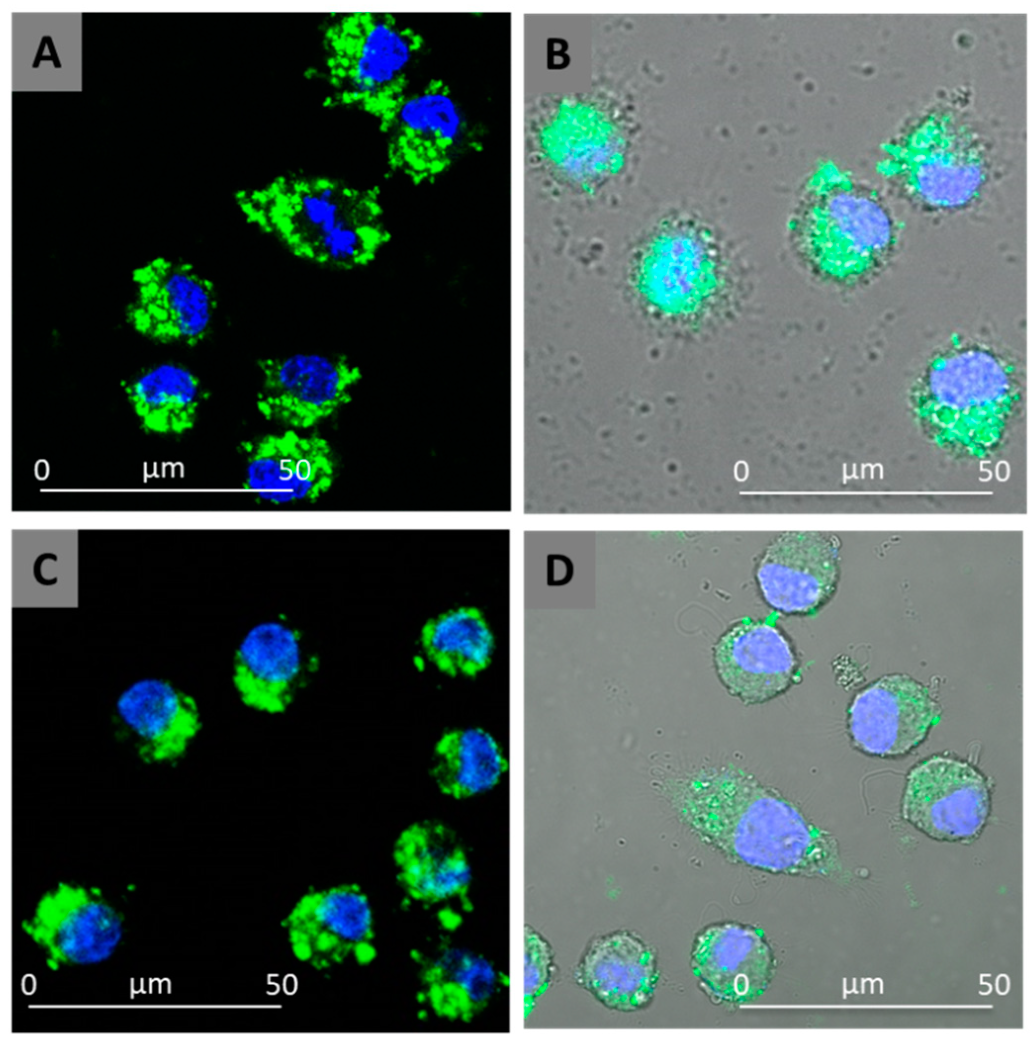 Pharmaceutics 11 00034 g008