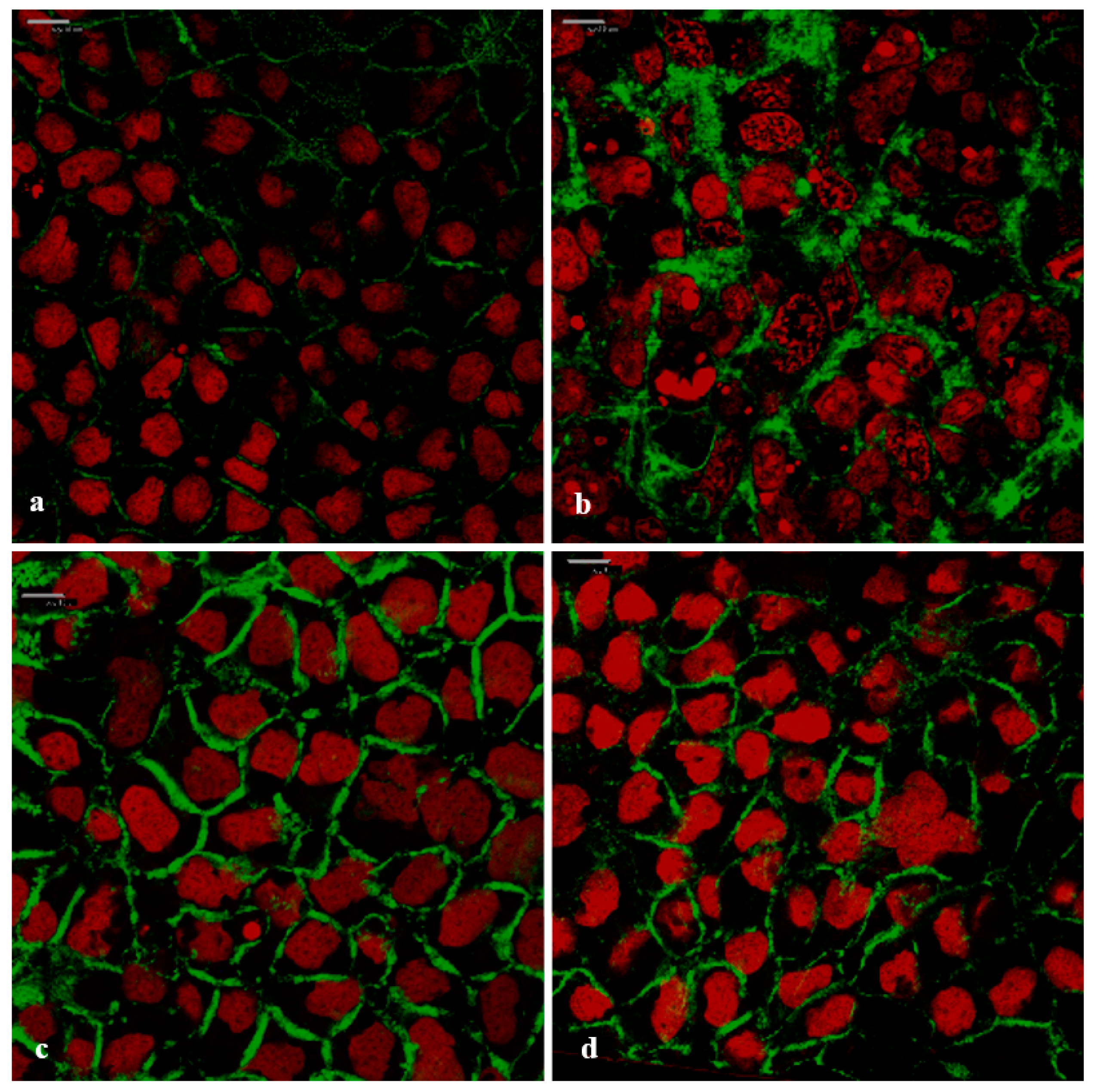 Pharmaceutics 11 00036 g009 Pharmaceutics 11 00036 g009