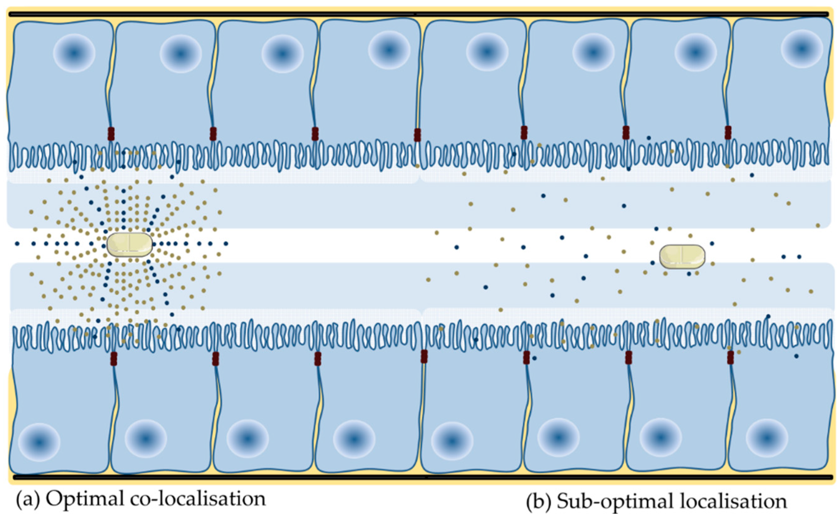 Pharmaceutics 11 00041 g002 Pharmaceutics 11 00041 g002