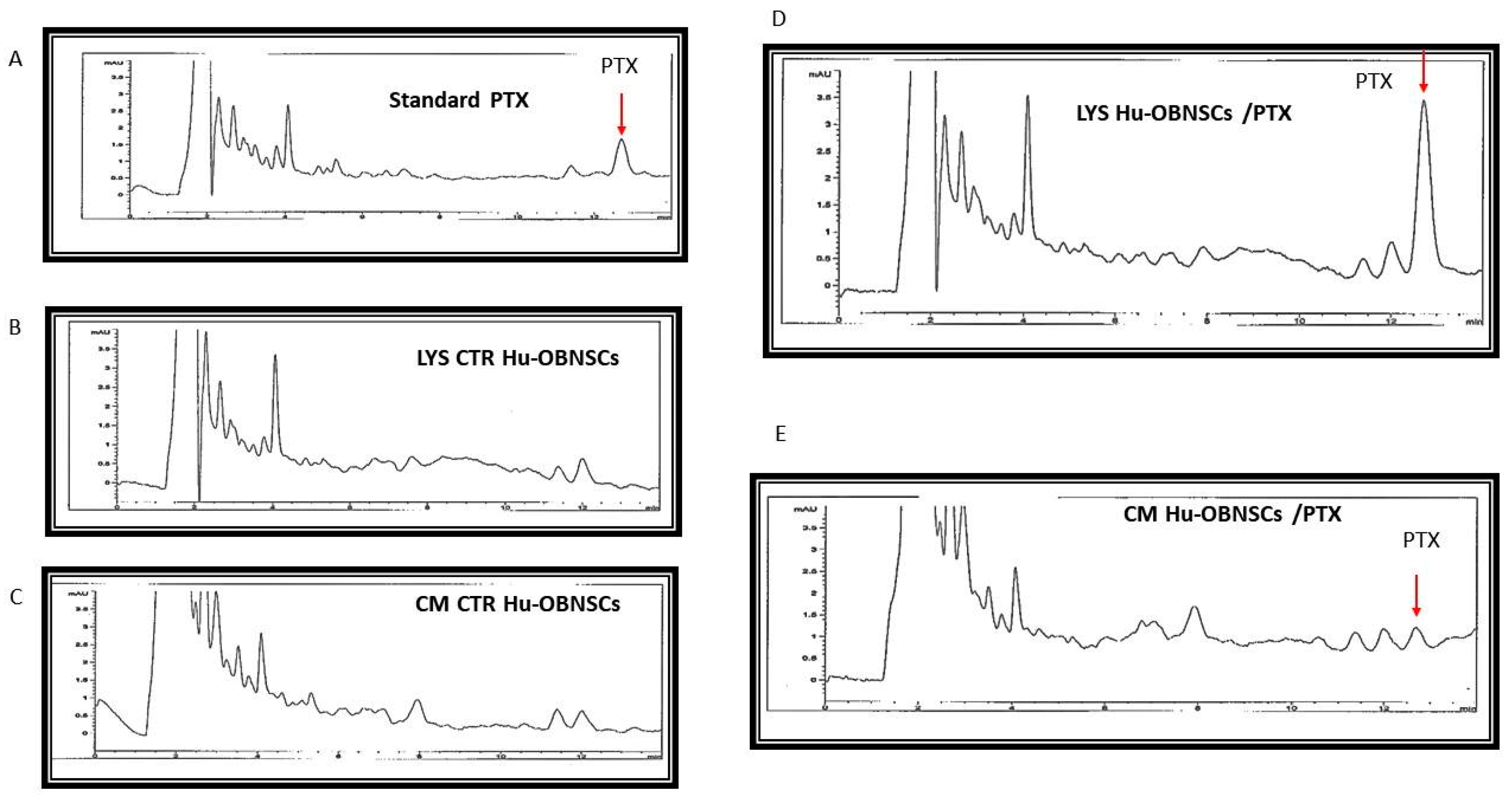 Pharmaceutics 11 00045 g005 Pharmaceutics 11 00045 g005